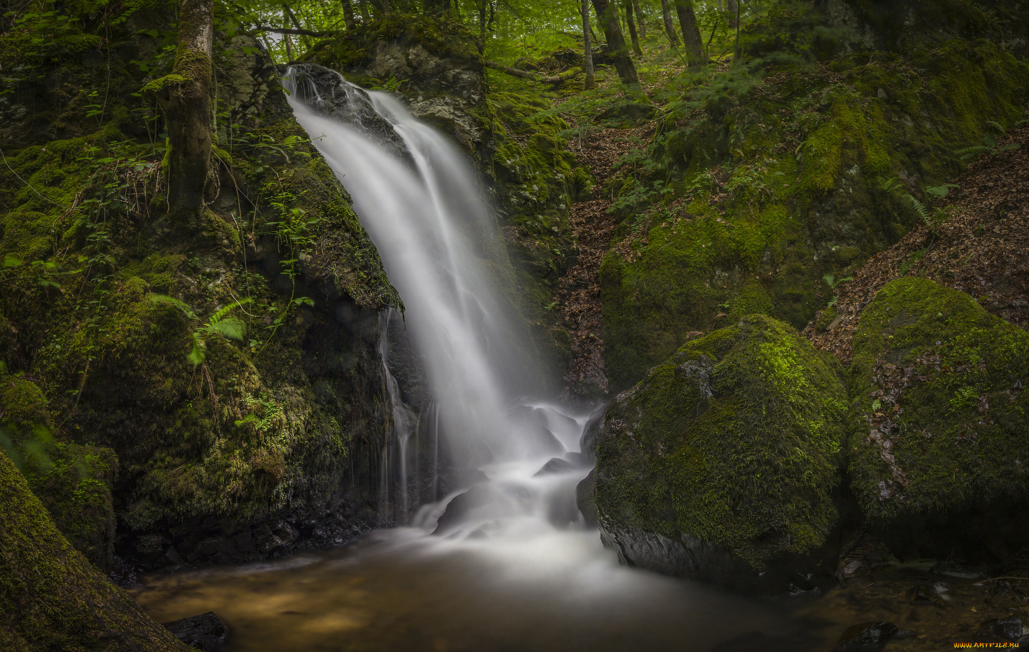 природа, водопады, река, водопад, лес