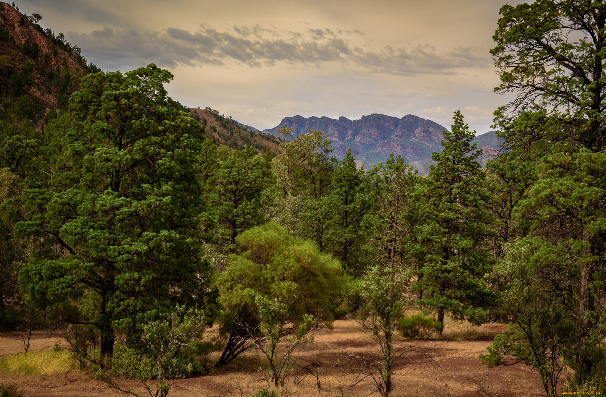 природа, горы, простор