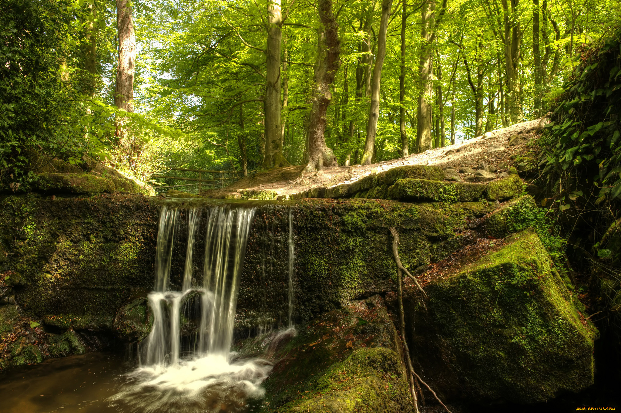 природа, водопады, водопад, река, лес
