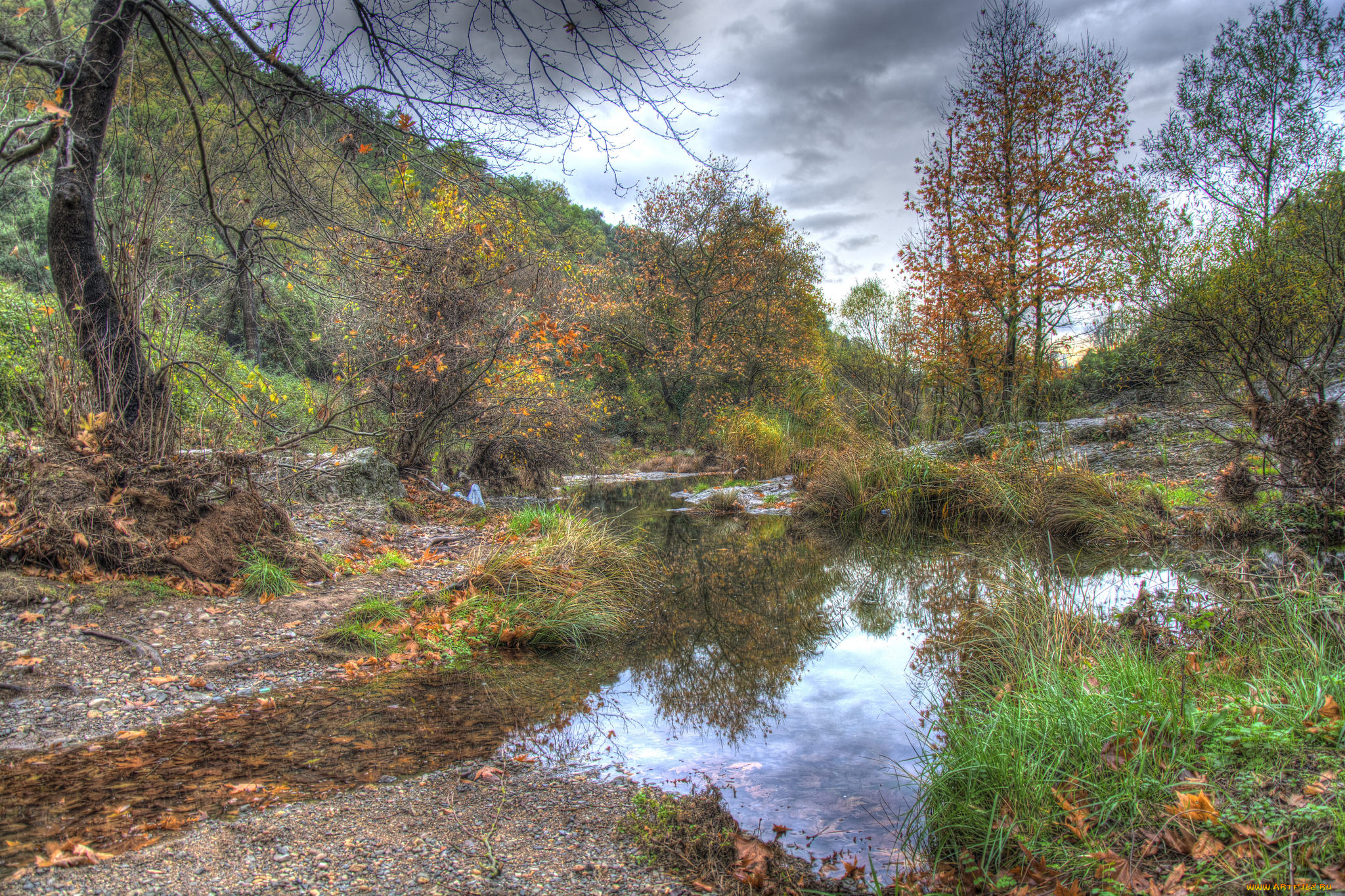 природа, реки, озера, лес, река