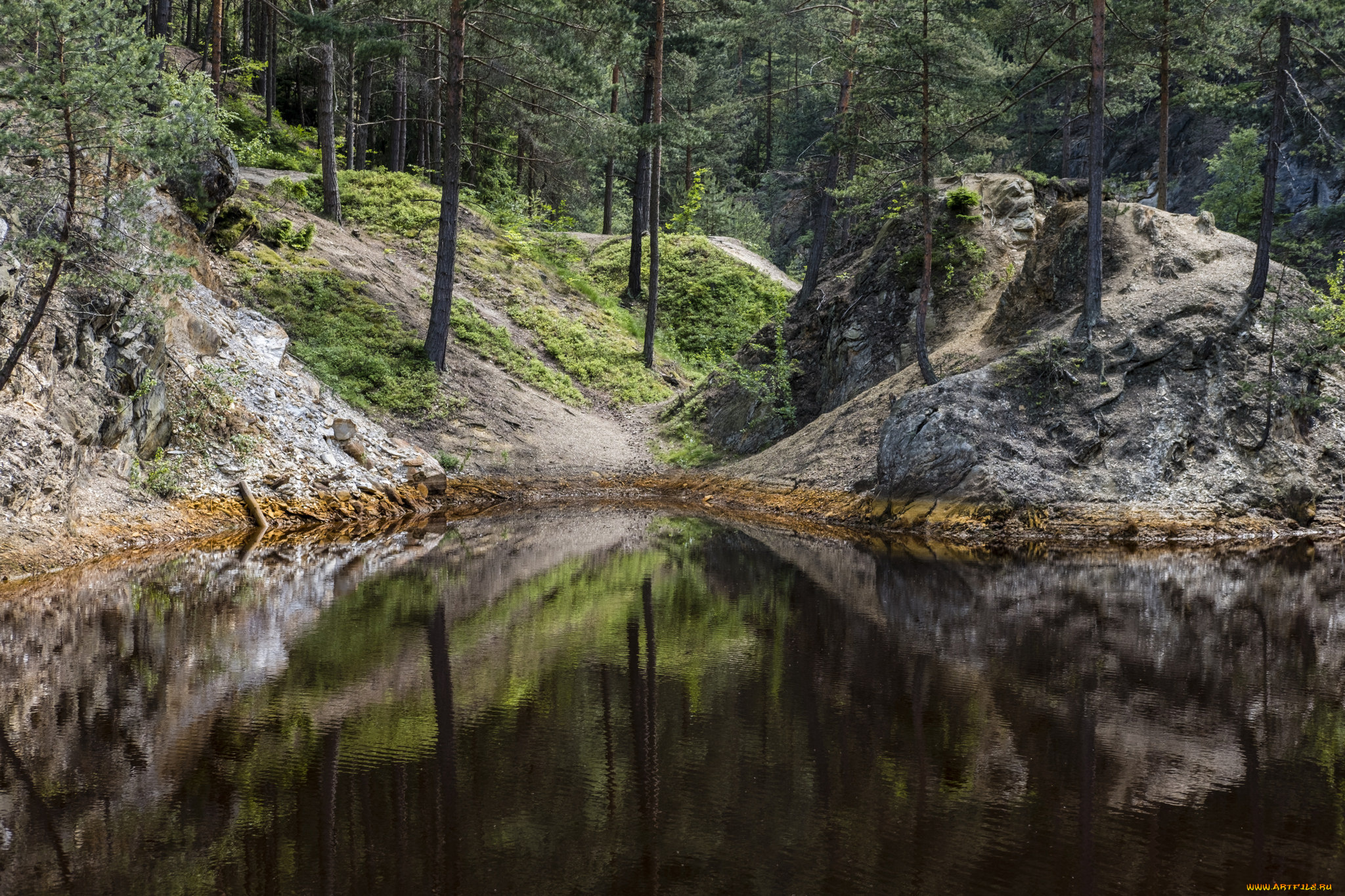 природа, реки, озера, лес, река