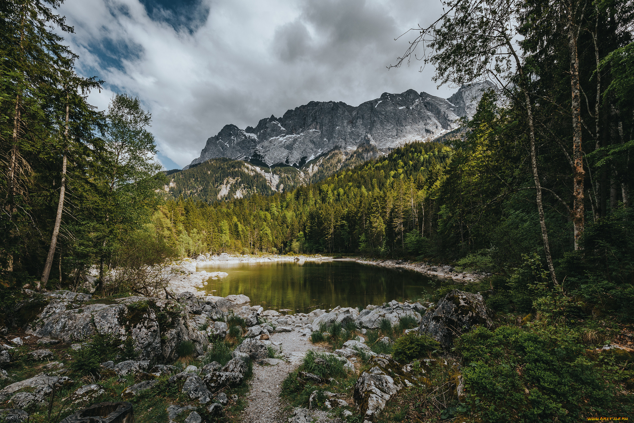 природа, реки, озера, река, лес