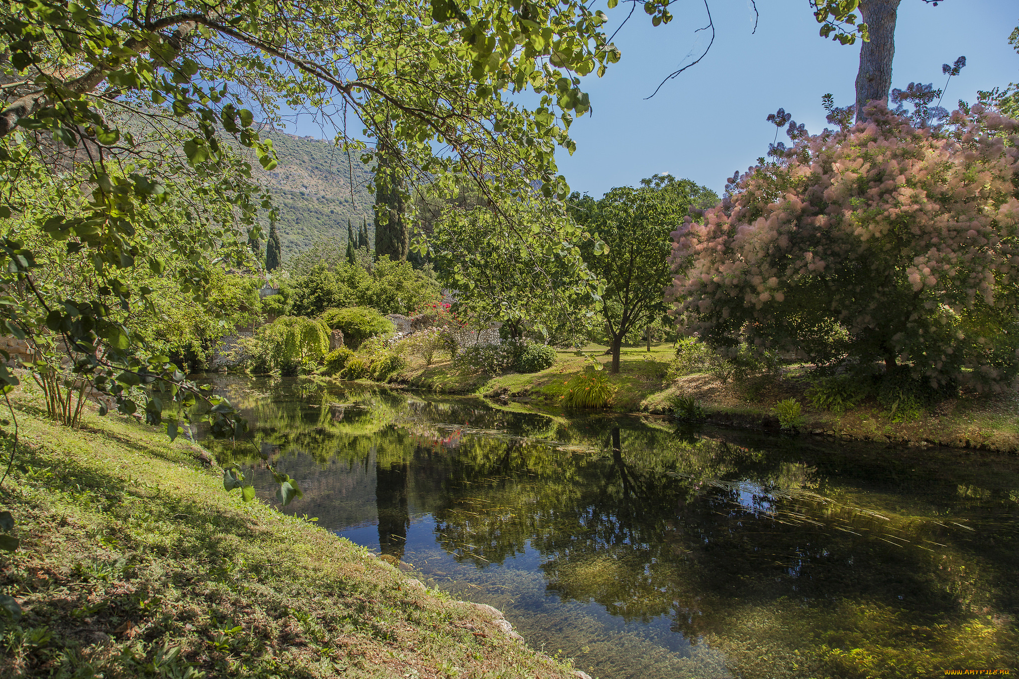 природа, реки, озера, река, лес