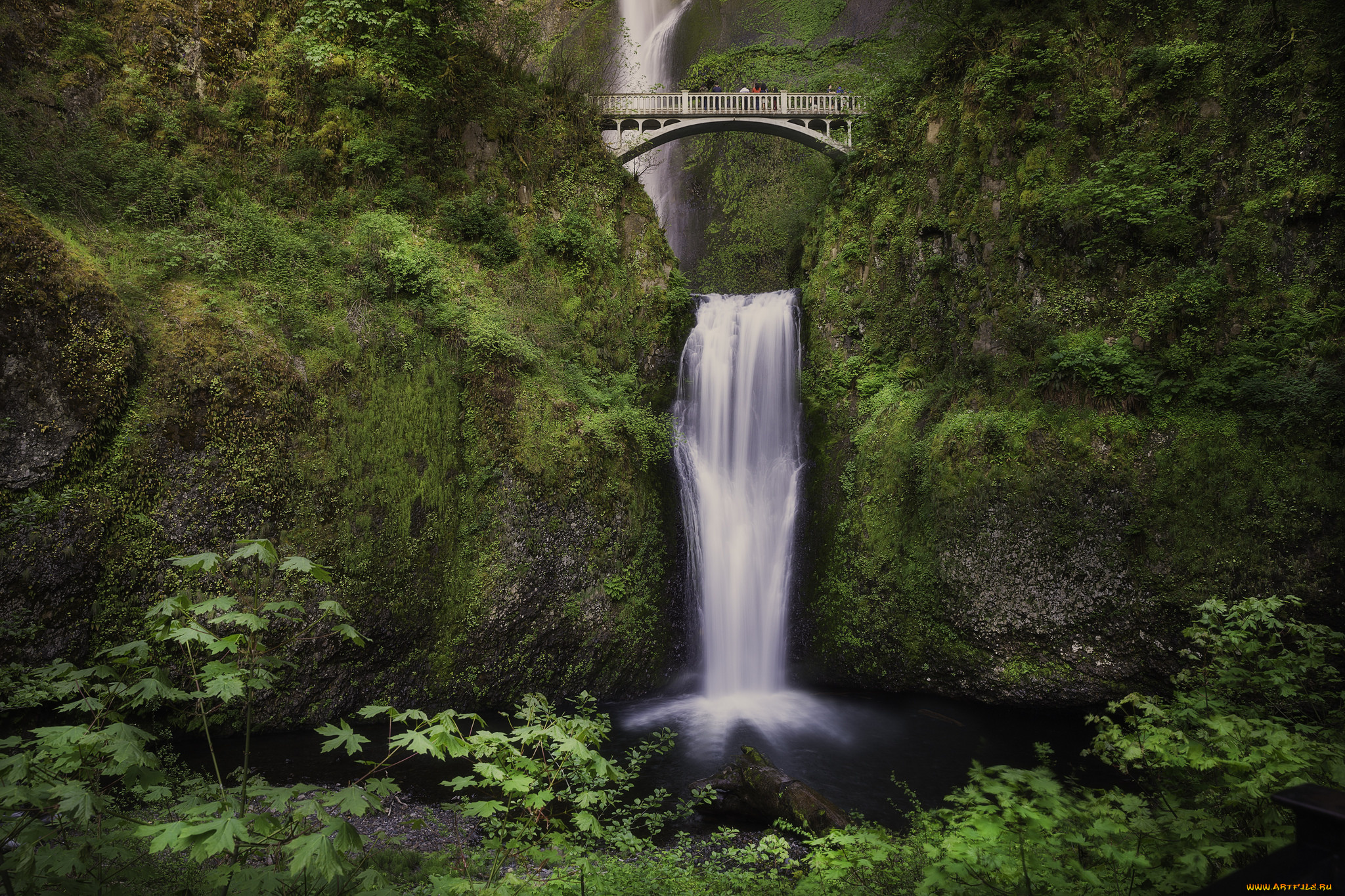 природа, водопады, лес, водопад, река