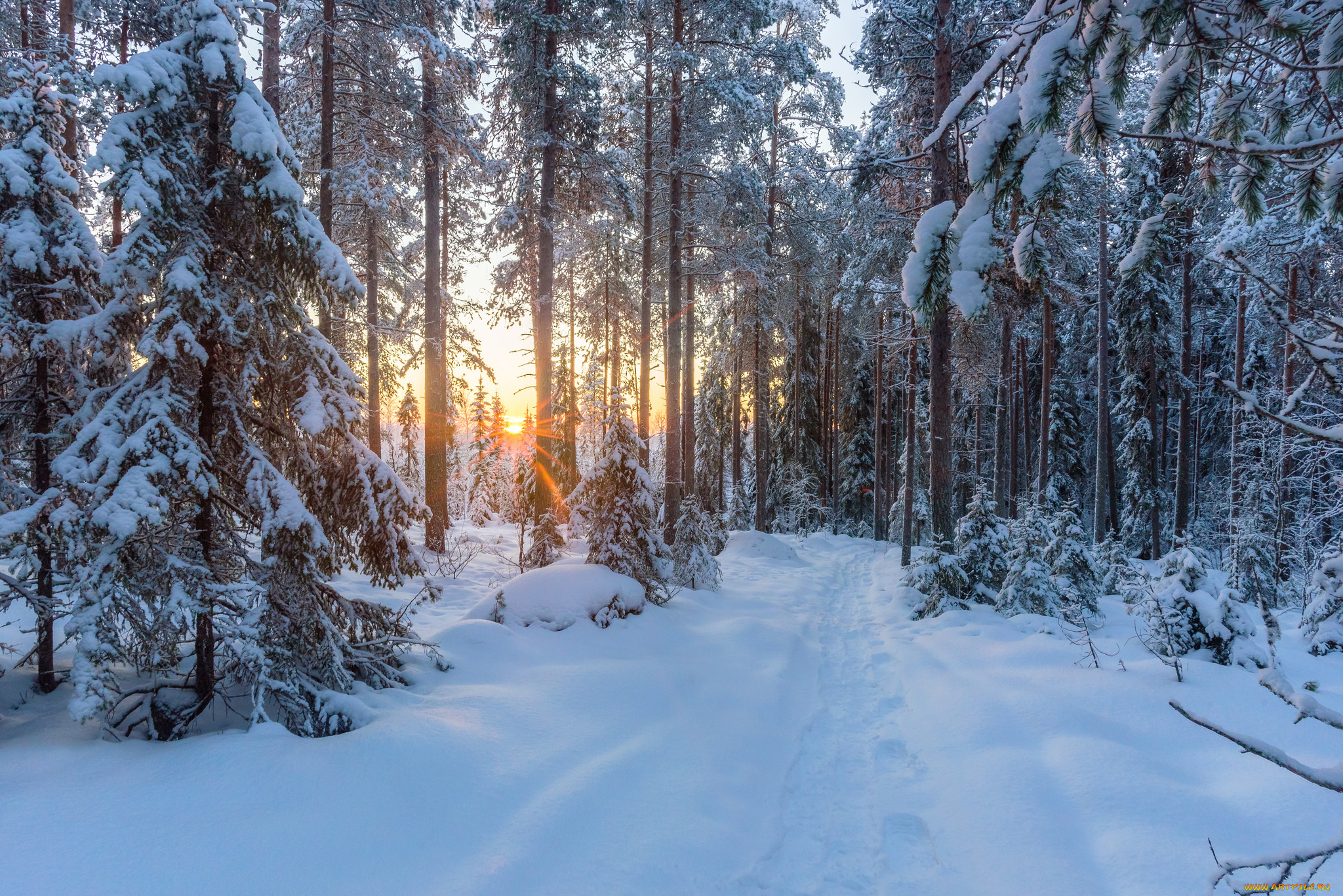 природа, зима, снег