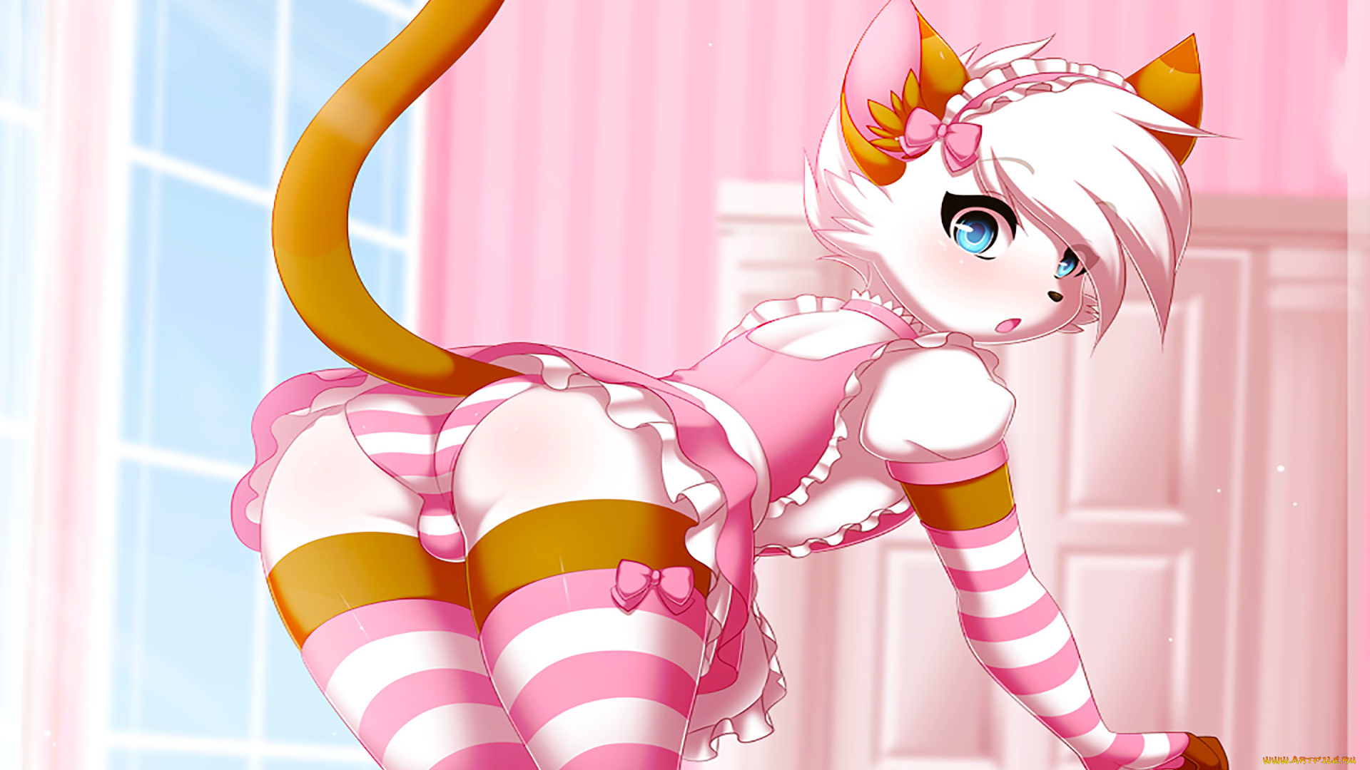 аниме, животные, , существа, фон, взгляд, девушка