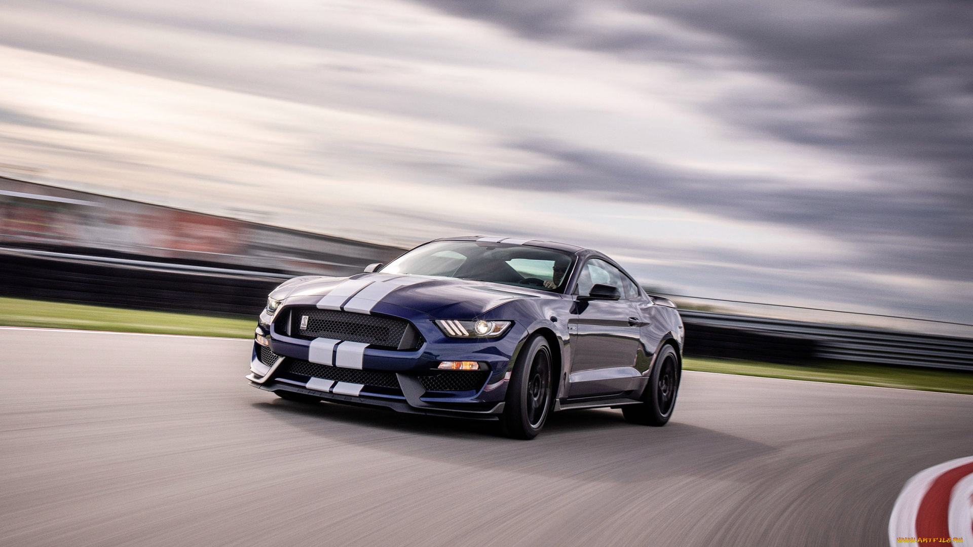 ford, mustang, shelby, gt350, , 2019, автомобили, mustang, тюнинг, экстерьер, купе, американский, суперкар, скорость, вид, спереди, гоночный, трек, new