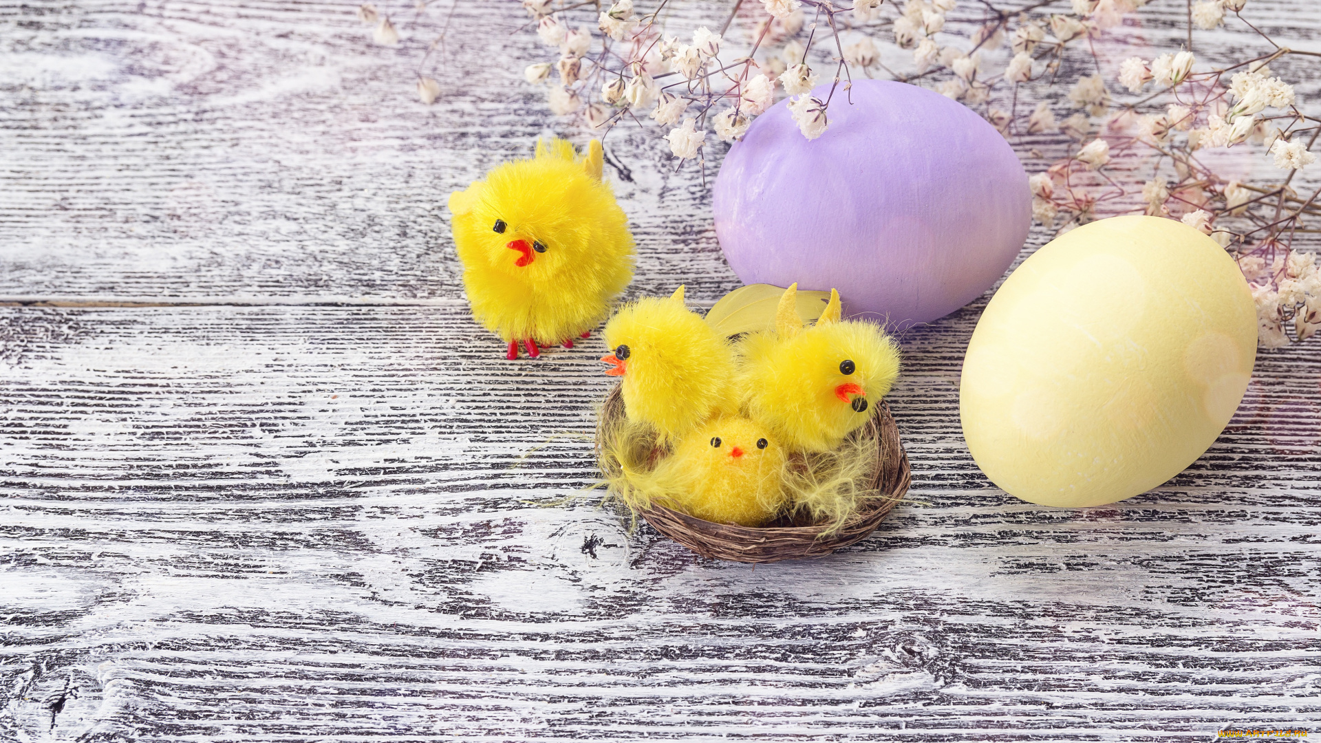 праздничные, пасха, flowers, easter, wood, decoration, весна, цветы, eggs, spring, happy, яйца, крашеные