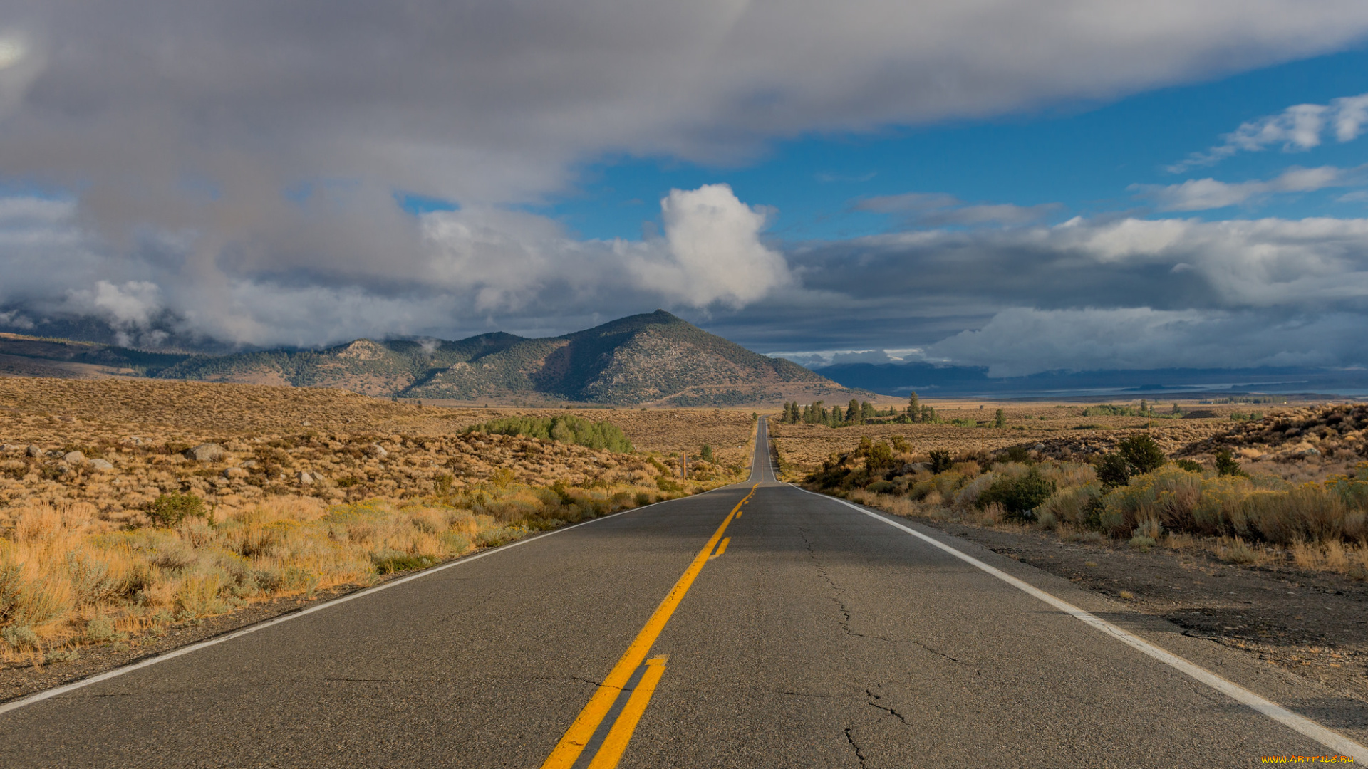 природа, дороги, простор