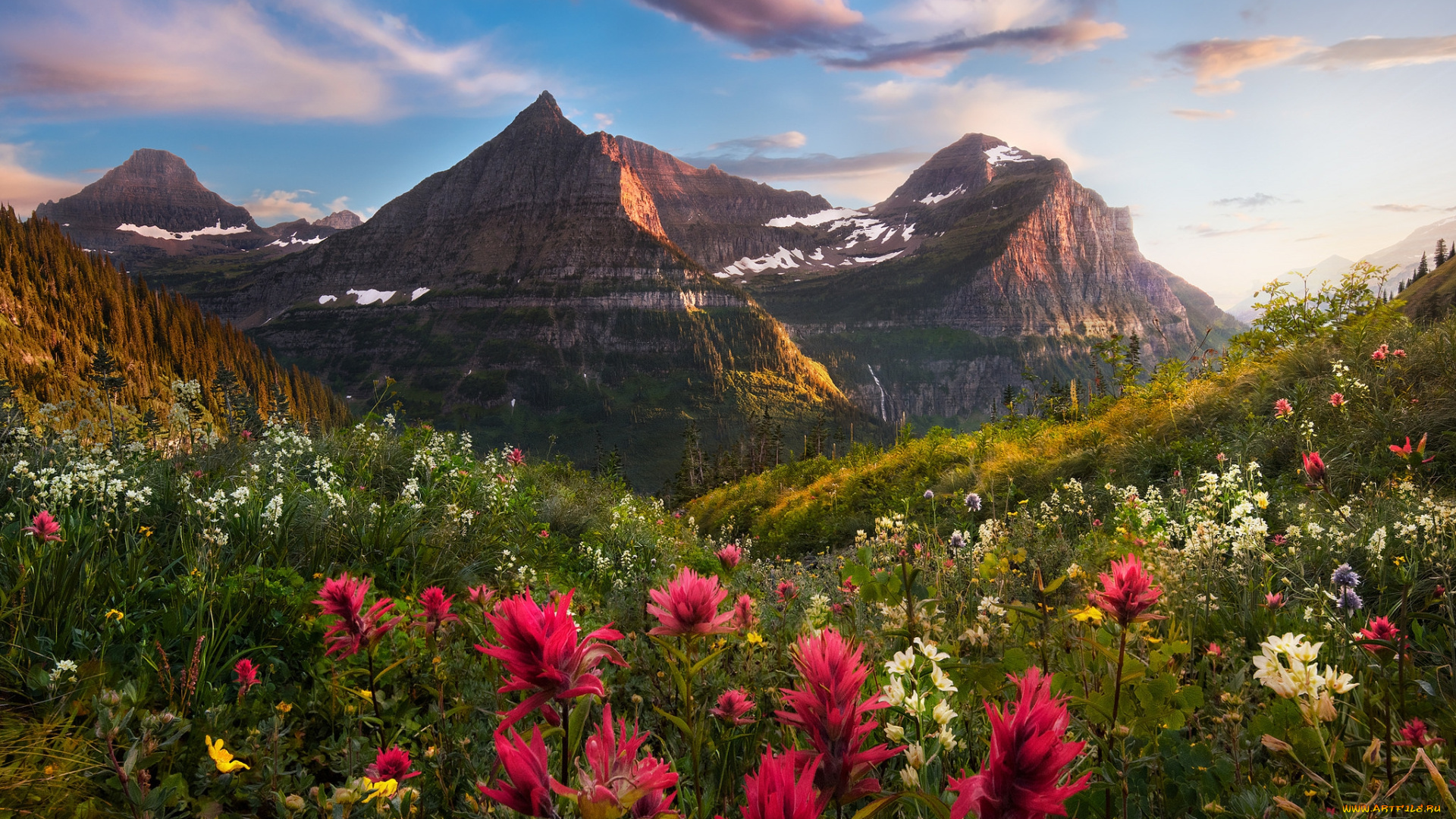 природа, луга, простор