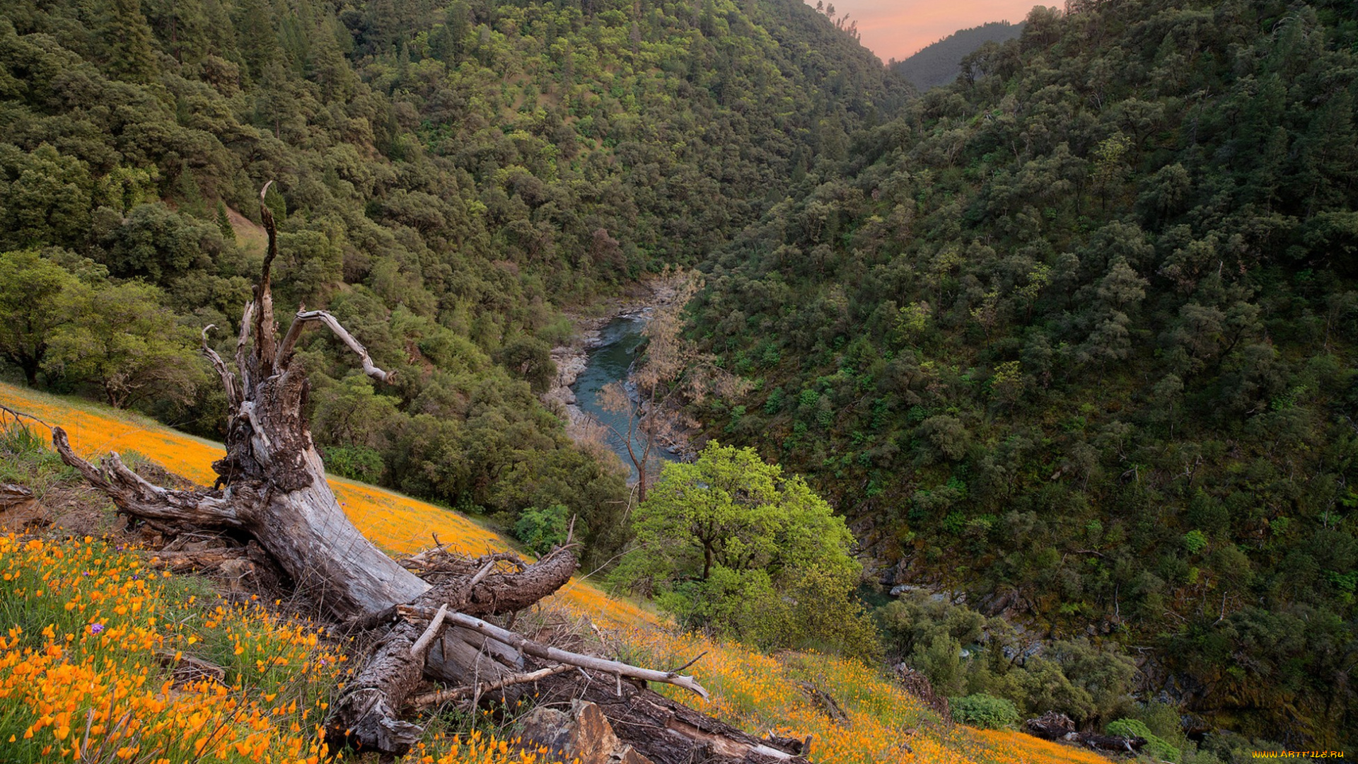 природа, пейзажи, простор