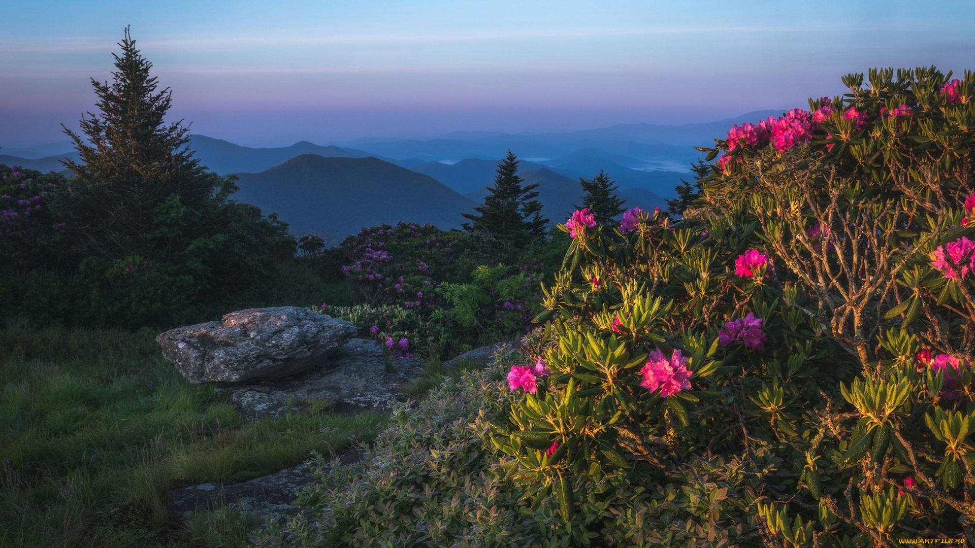природа, пейзажи, простор