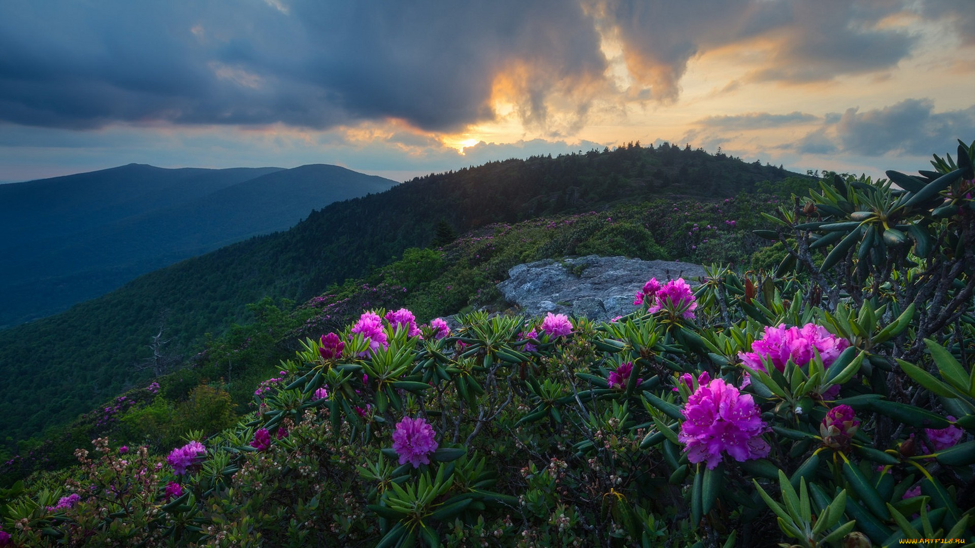 природа, пейзажи, простор