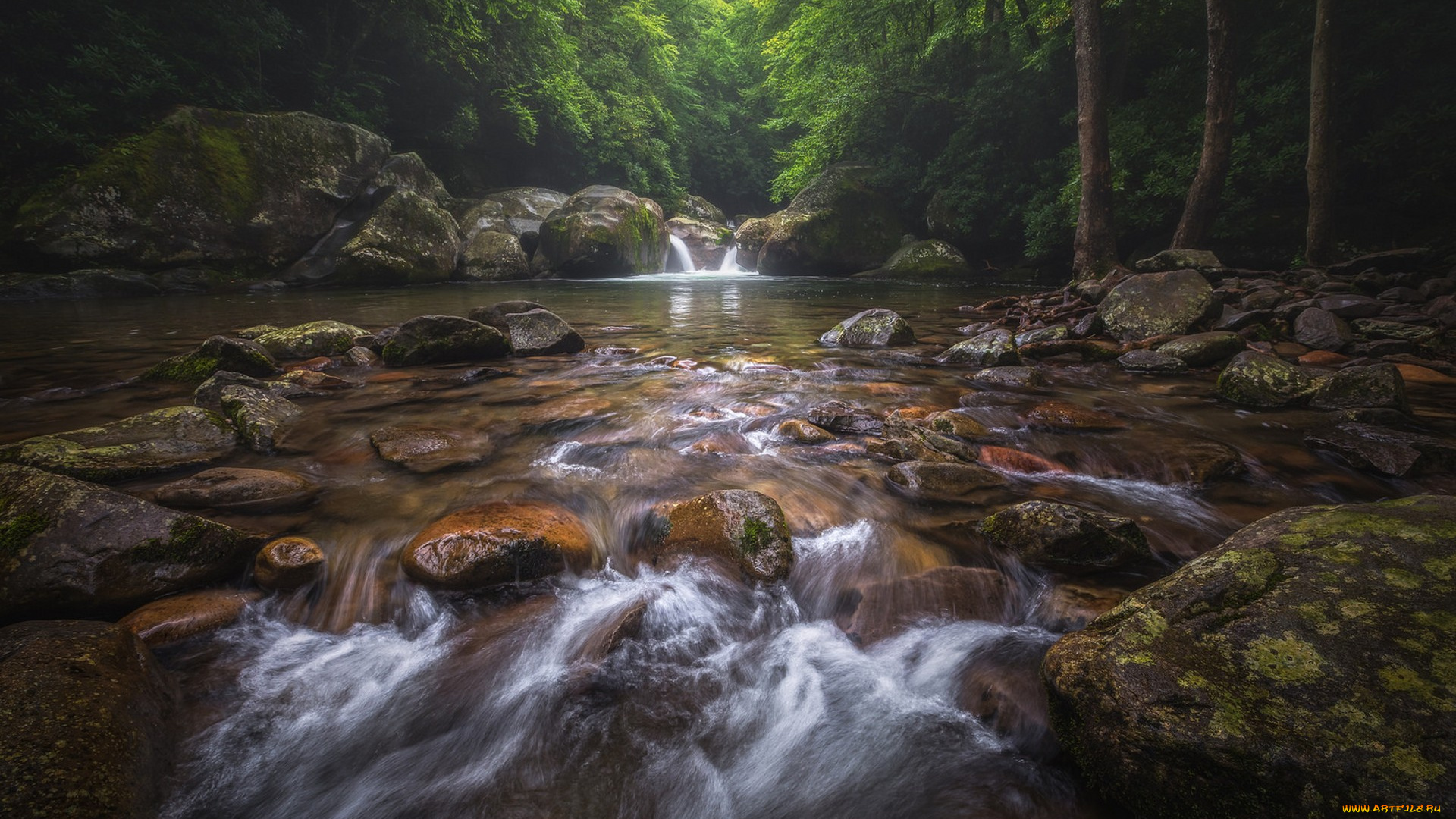 природа, реки, озера, простор