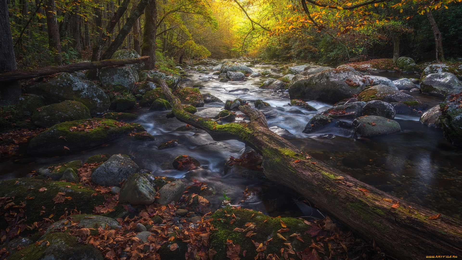 природа, реки, озера, простор