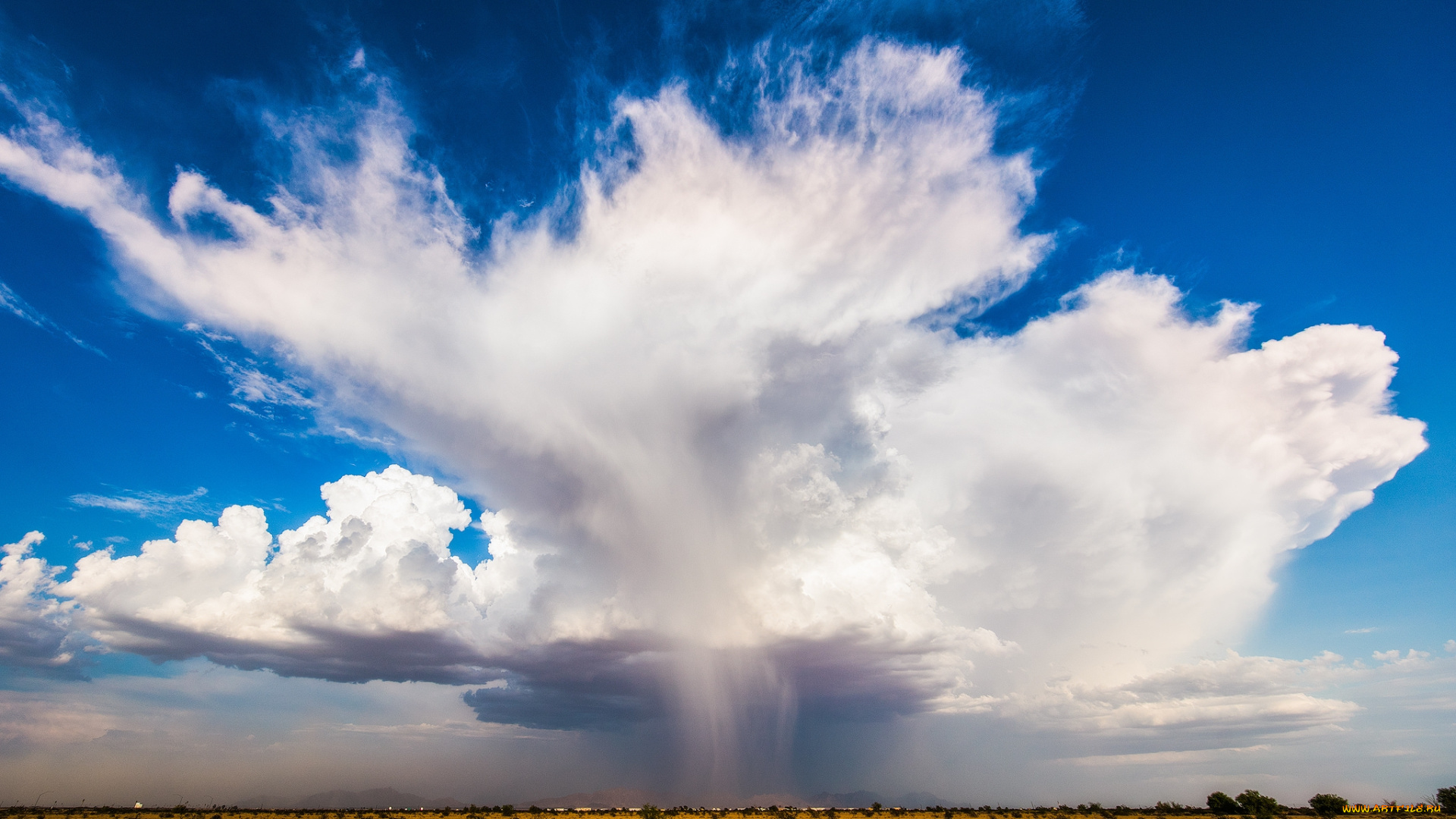 природа, стихия, простор