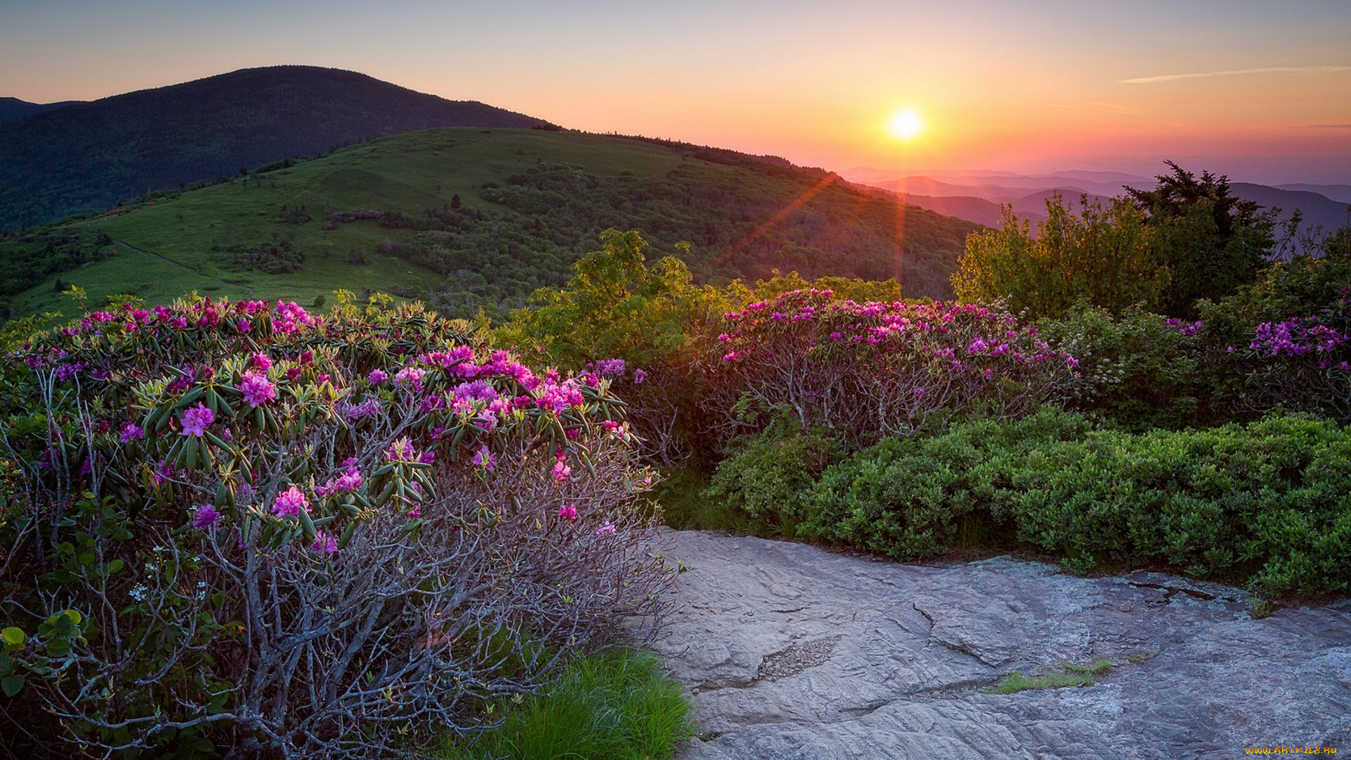 природа, восходы, закаты, простор