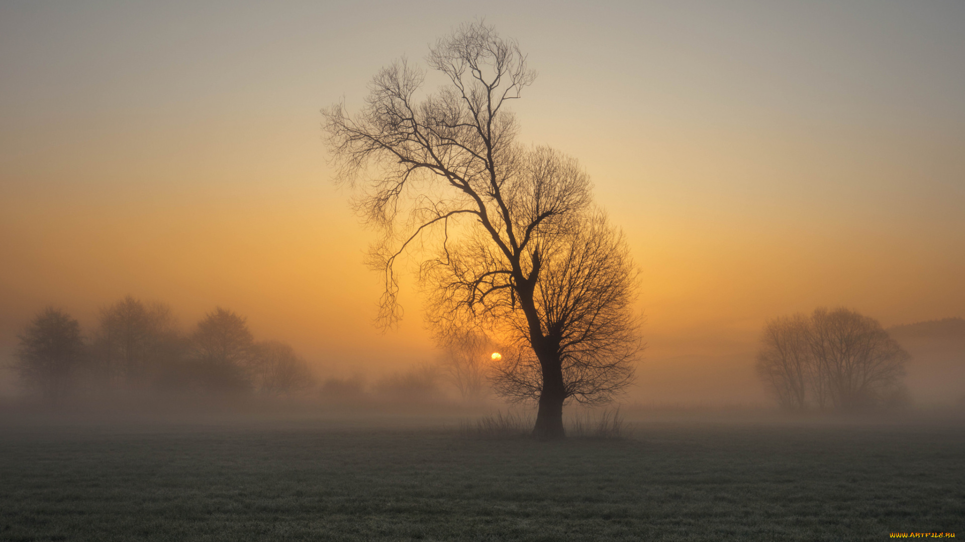природа, восходы, закаты, простор