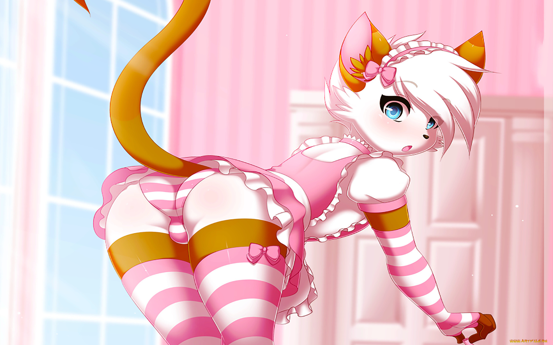 аниме, животные, , существа, фон, взгляд, девушка