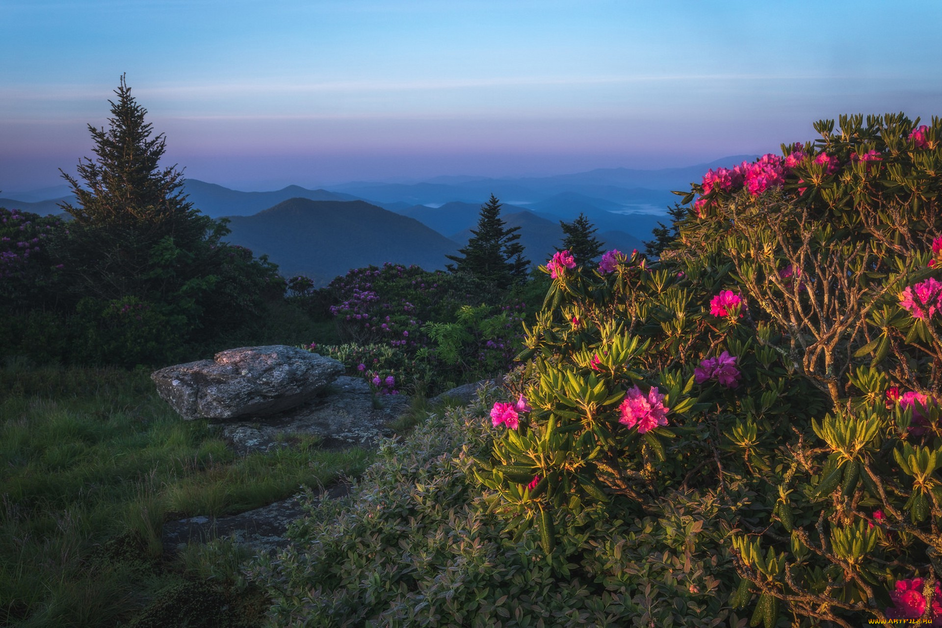 природа, пейзажи, простор