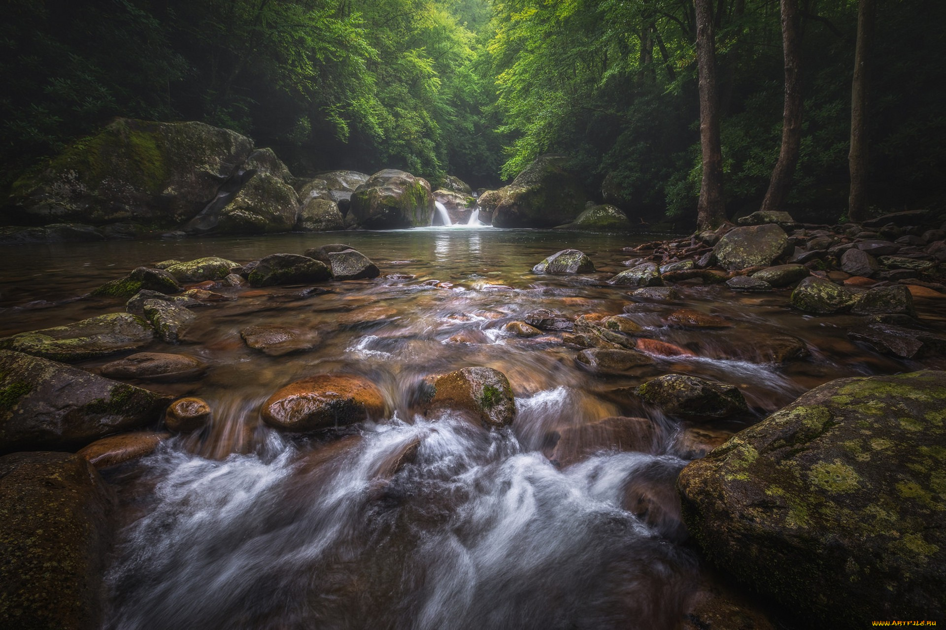 природа, реки, озера, простор