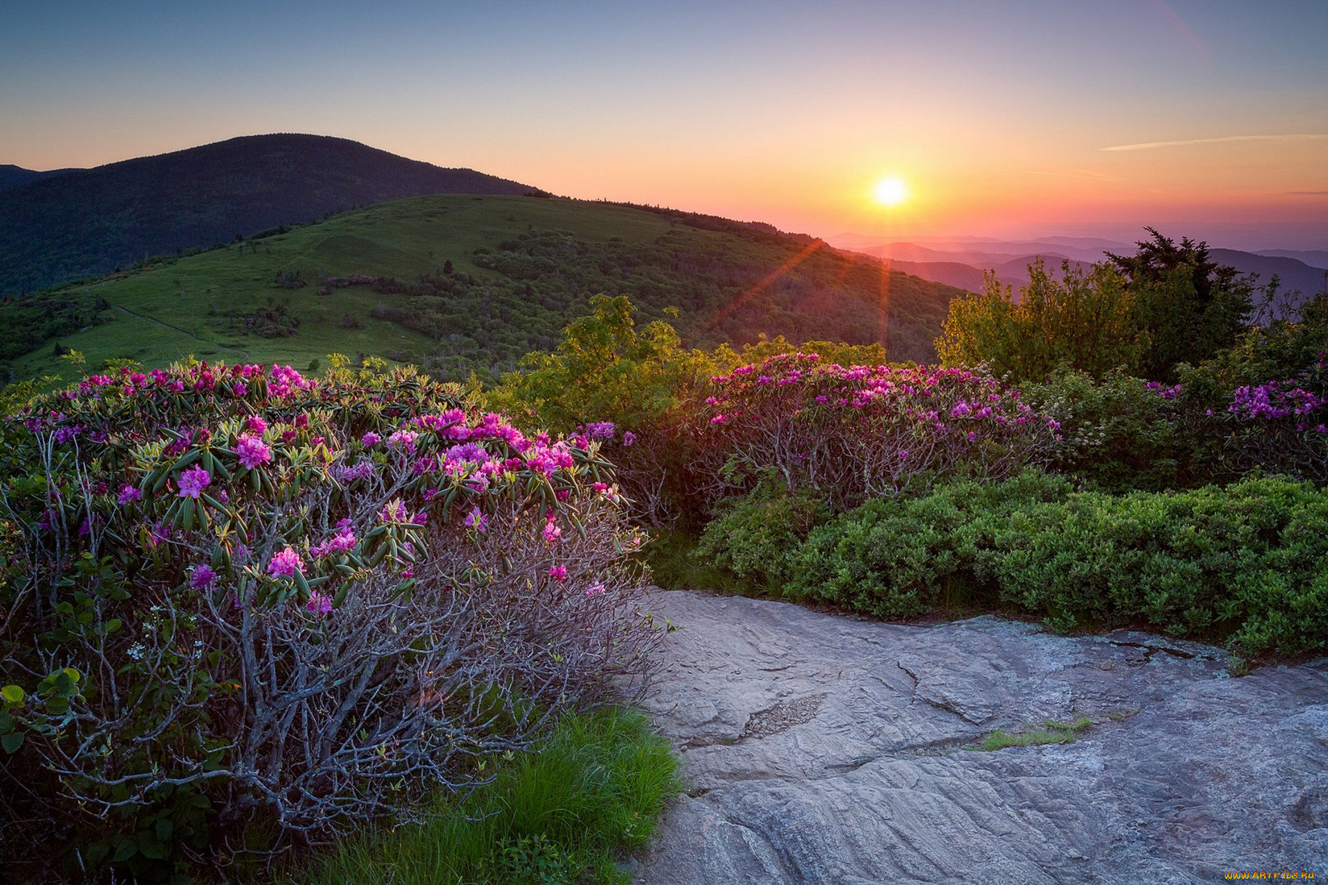 природа, восходы, закаты, простор