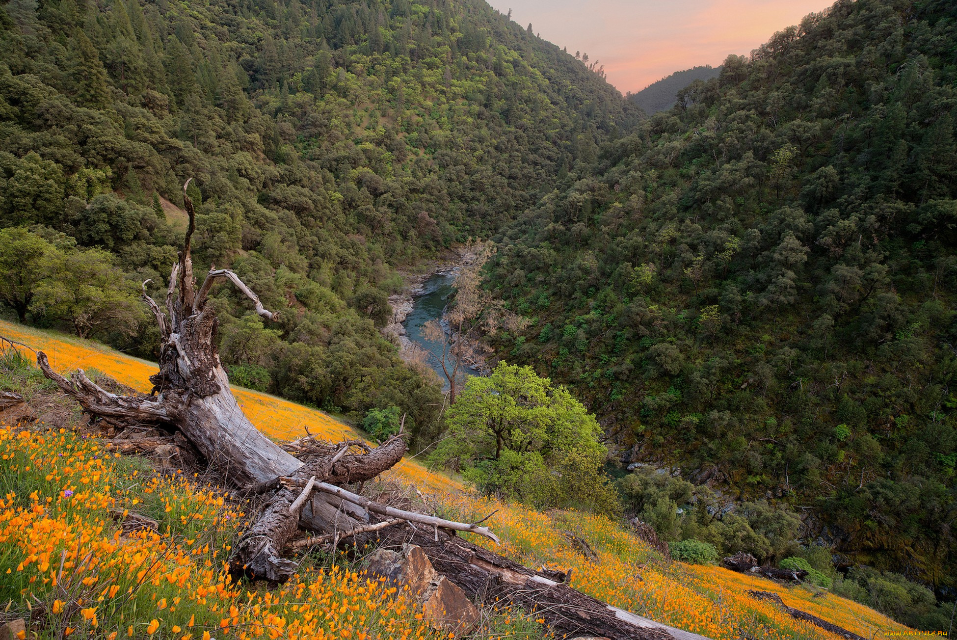 природа, пейзажи, простор