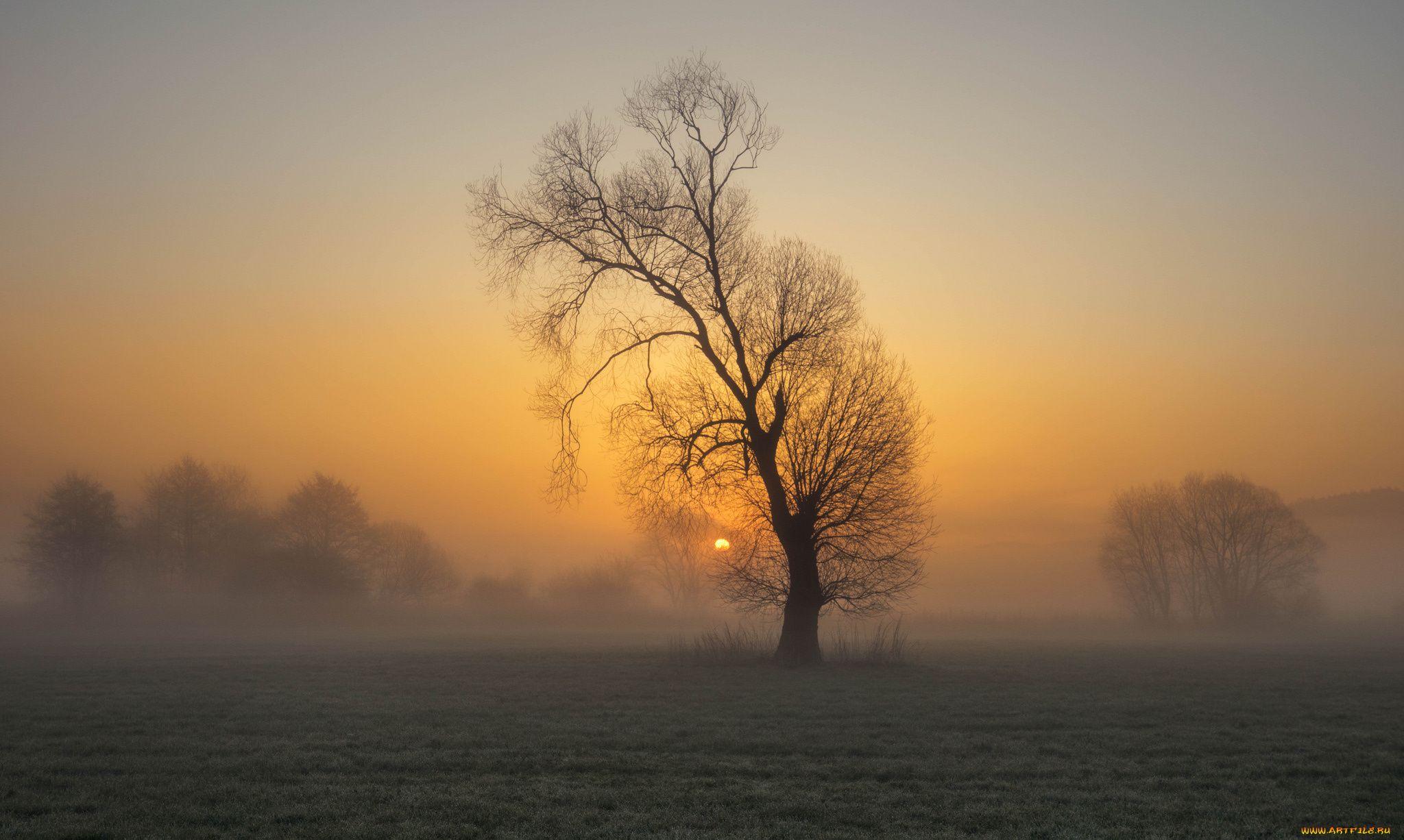 природа, восходы, закаты, простор
