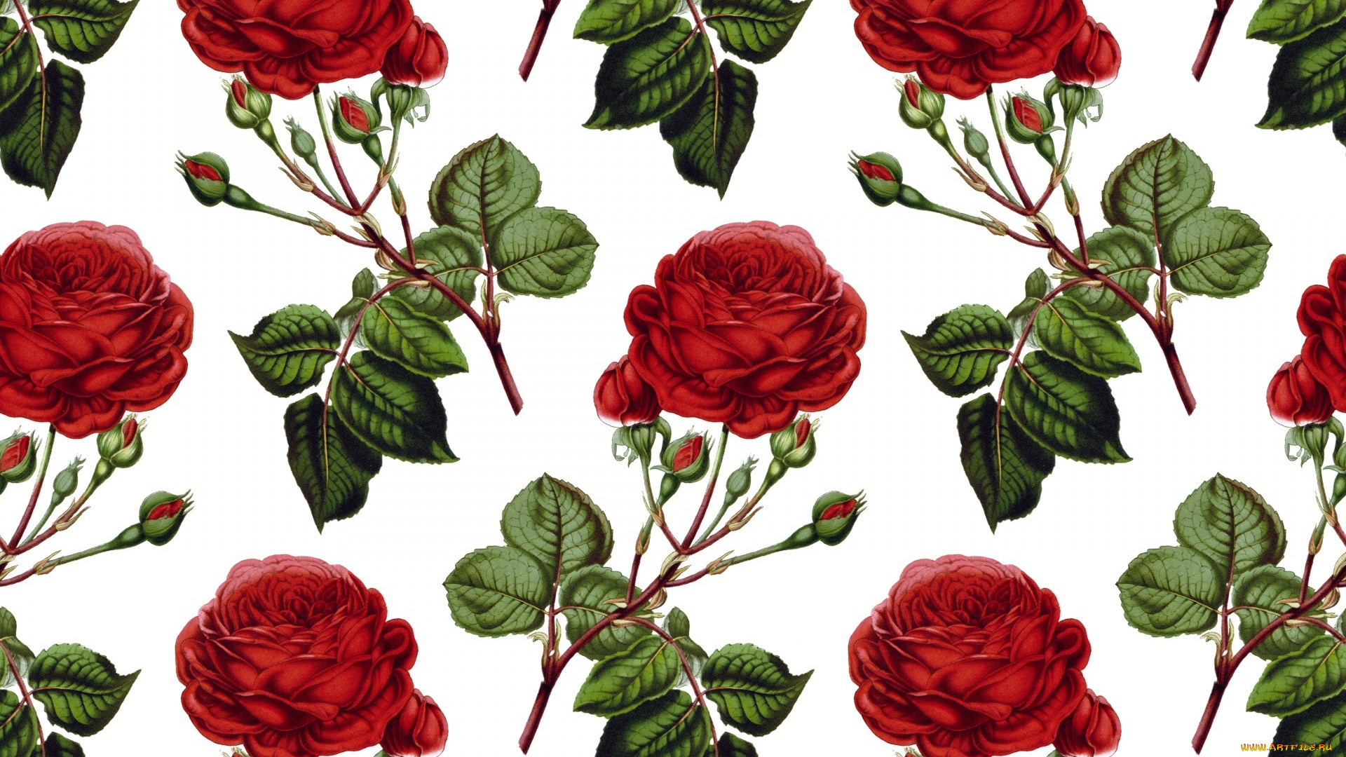 рисованное, цветы, фон