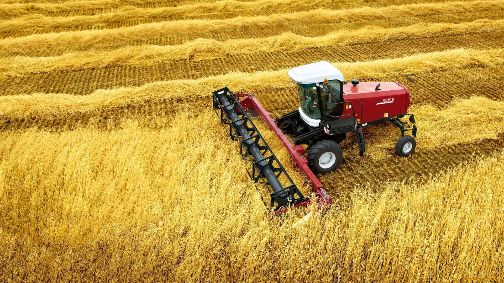 техника, комбайны, rostselmash