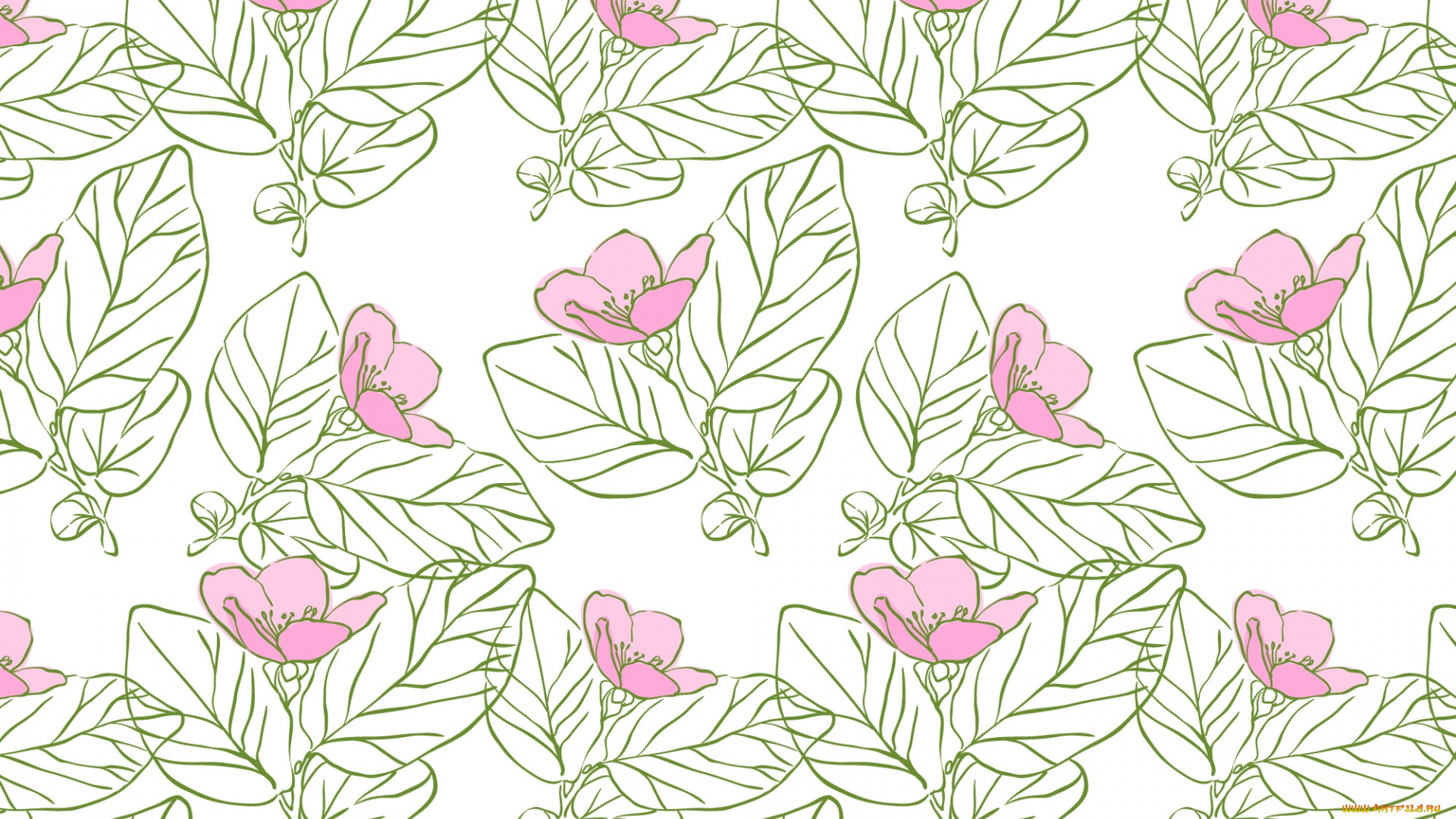 векторная, графика, цветы, , flowers, цветы, фон