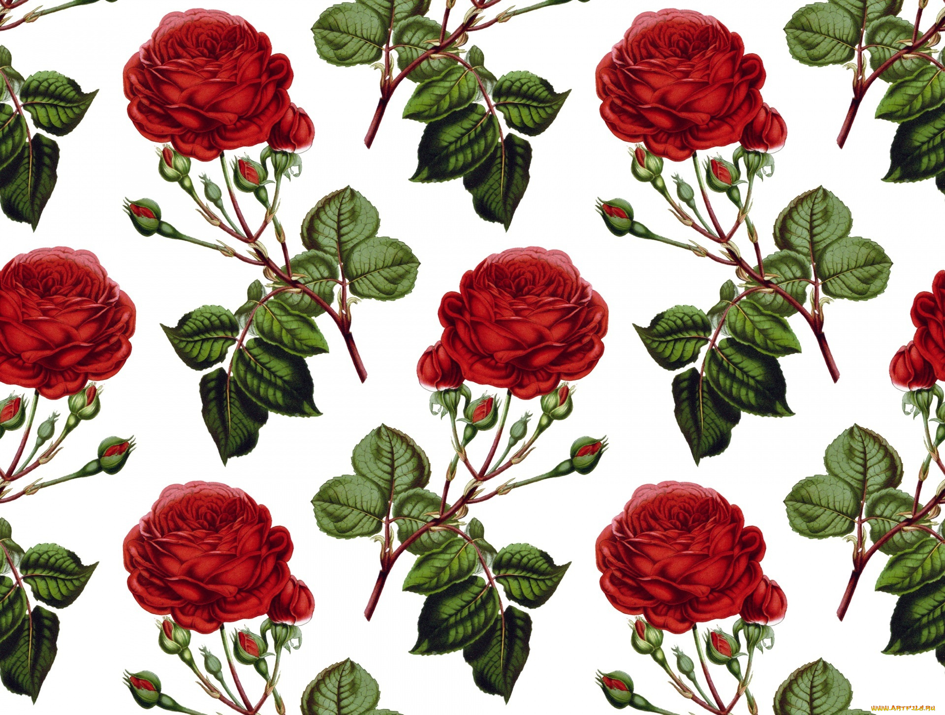 рисованное, цветы, фон