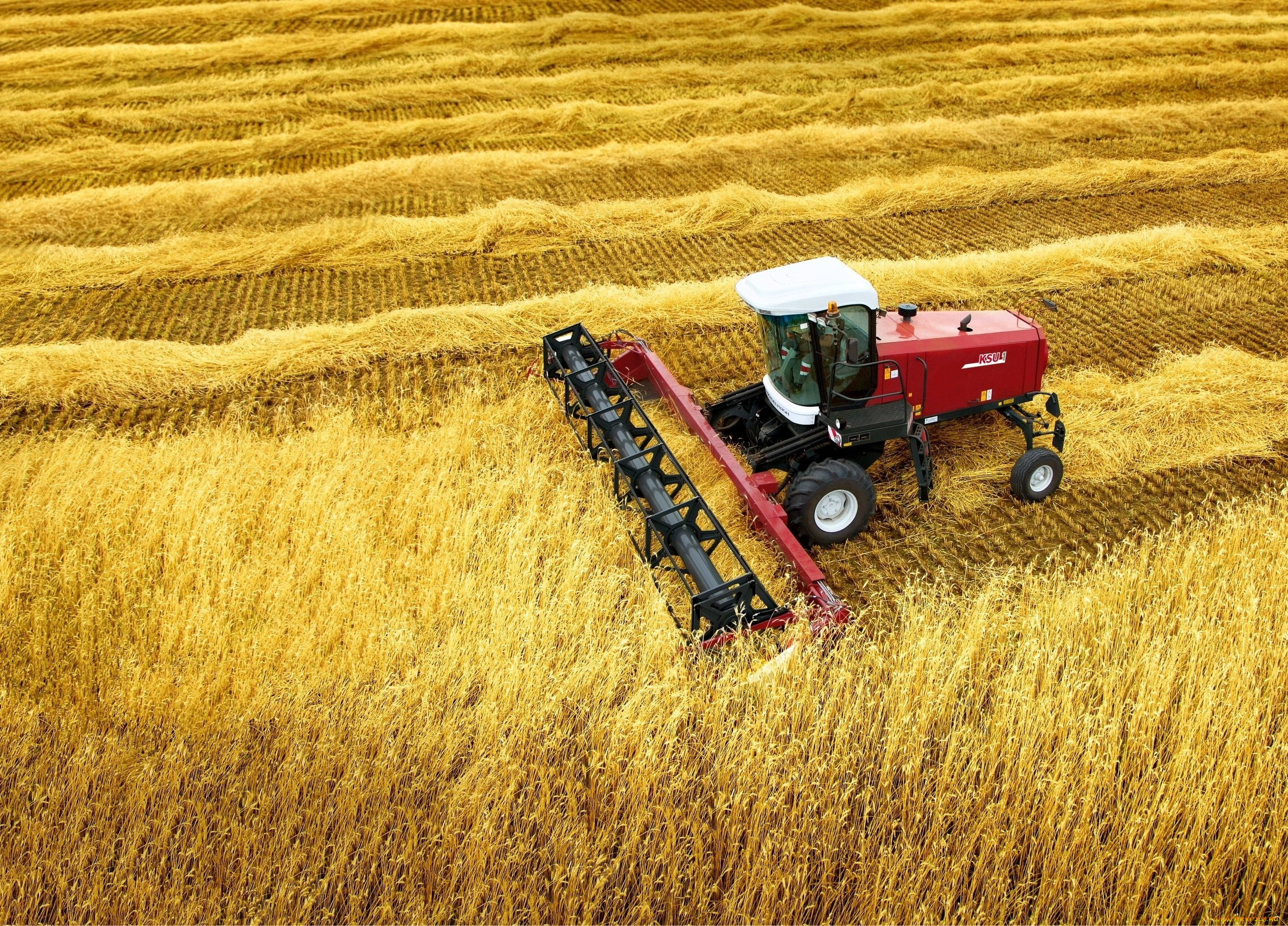 техника, комбайны, rostselmash