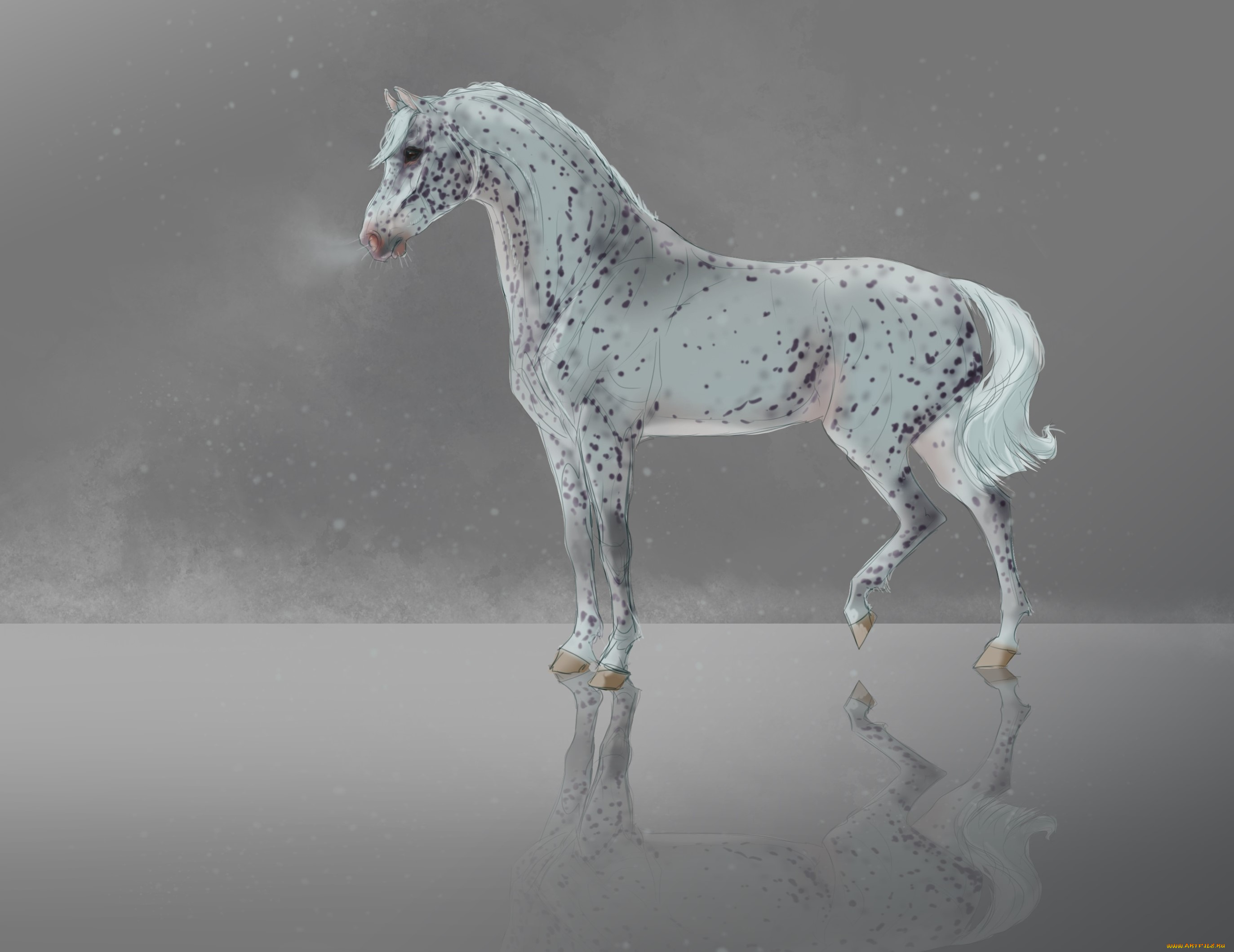 рисованное, животные, , лошади, лошадь