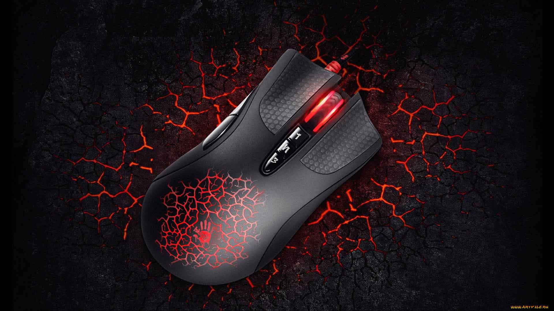 bloody, бренды, -, другое, бренд, компьютерных, мышек, клавиатур, ковриков, наушников, вообщем, девайсов