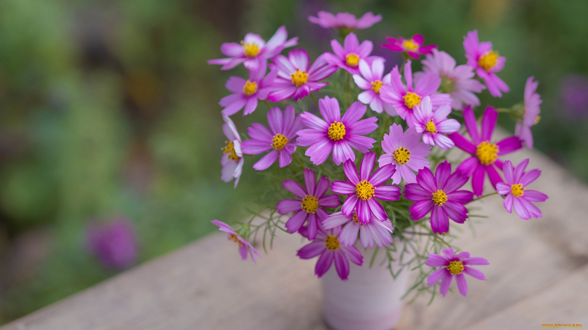 цветы, космея, ваза, букет