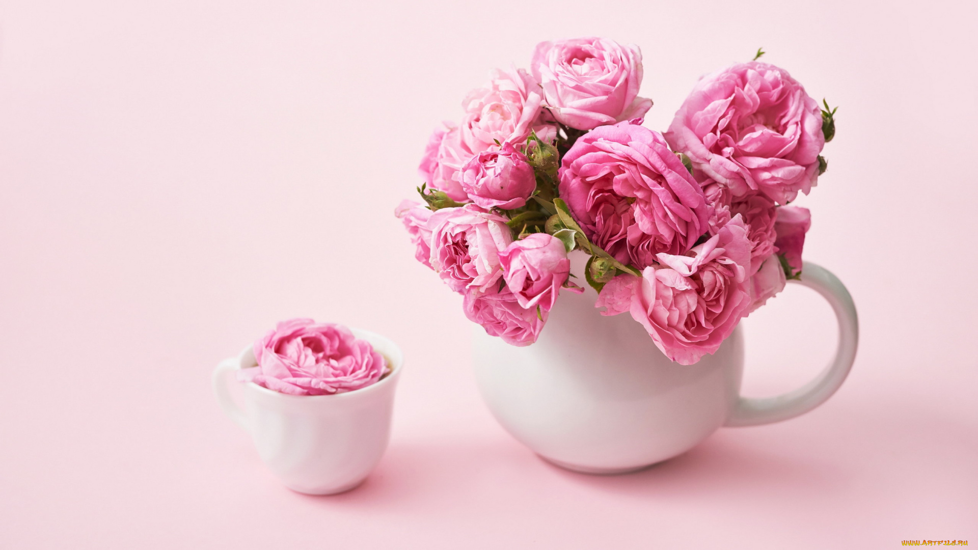 цветы, розы, букет, ваза