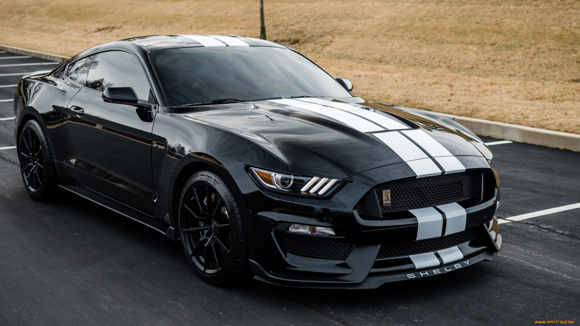 ford, mustang, gt, автомобили, mustang, ford, gt, shelby, gt500, легендарный, американский, исполин, породистый, конь