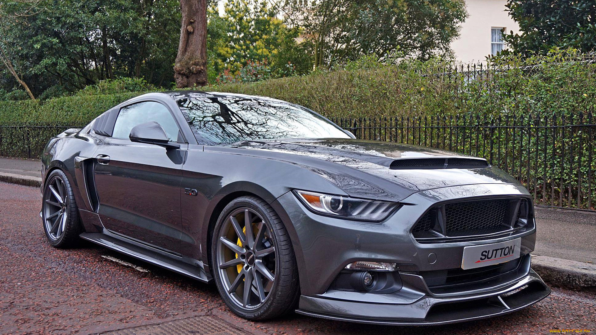 ford, mustang, gt, автомобили, mustang, ford, gt, shelby, gt500, легендарный, американский, исполин, породистый, конь