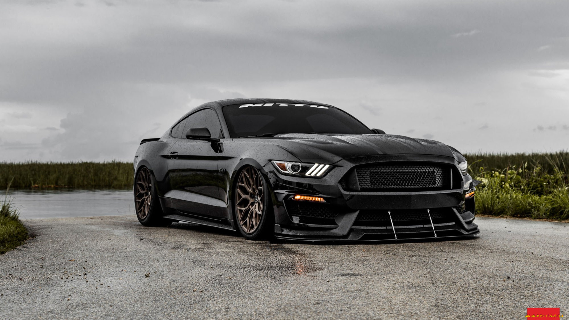 ford, mustang, gt, автомобили, mustang, ford, gt, shelby, gt500, легендарный, американский, исполин, породистый, конь