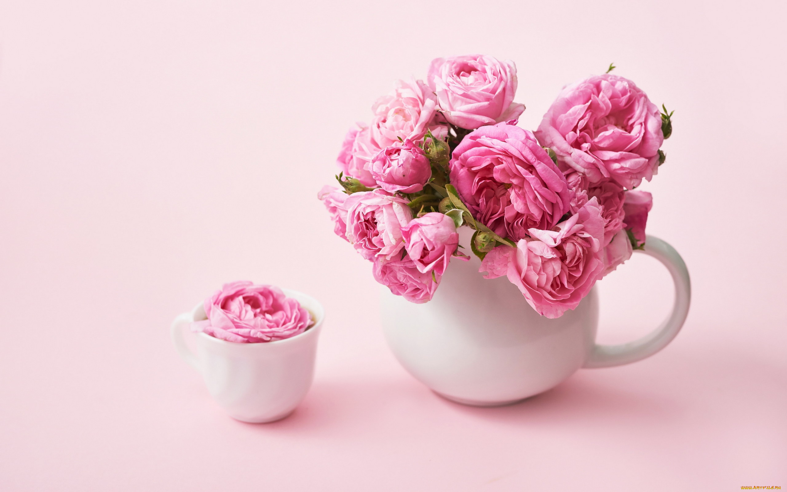 цветы, розы, букет, ваза