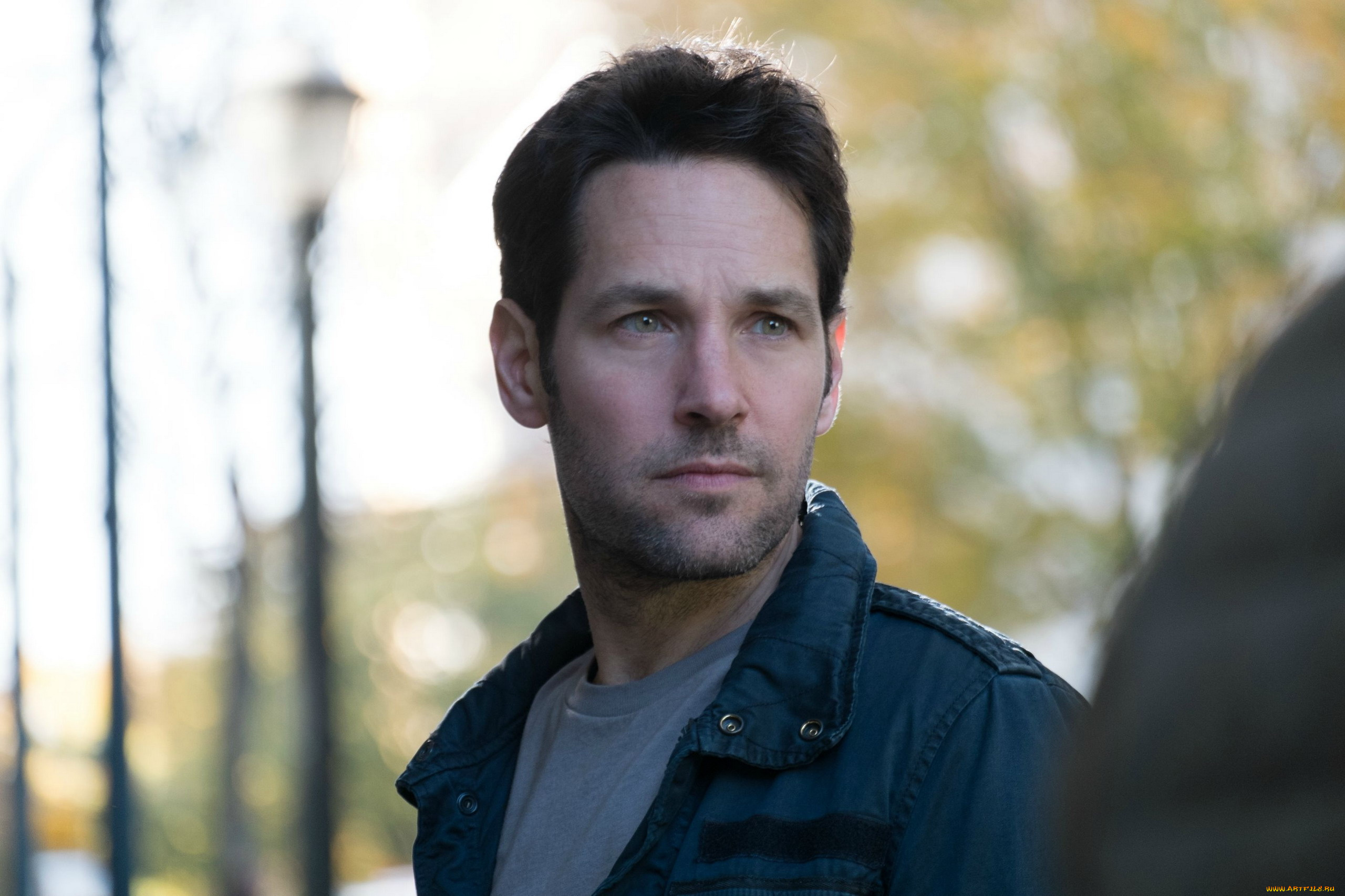 мужчины, paul, rudd, paul, rudd