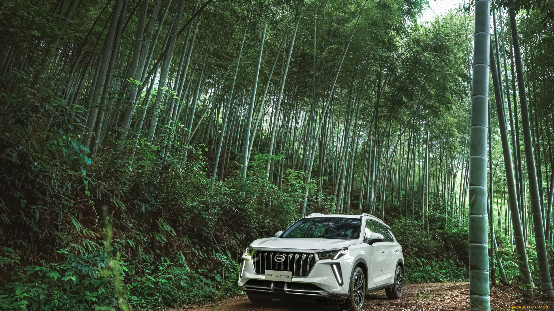 автомобили, trumpchi