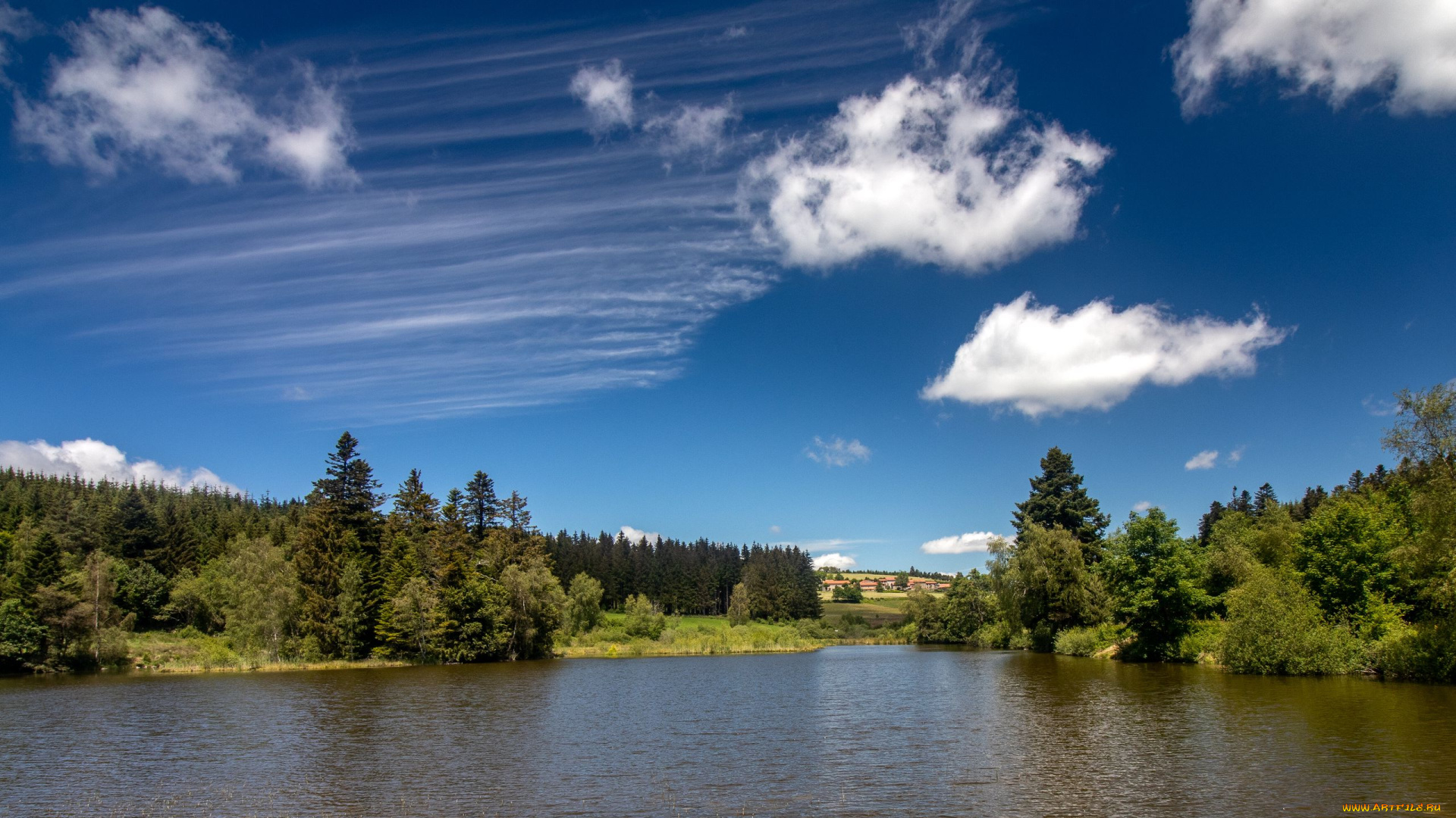 природа, реки, озера, река, деревья, облака