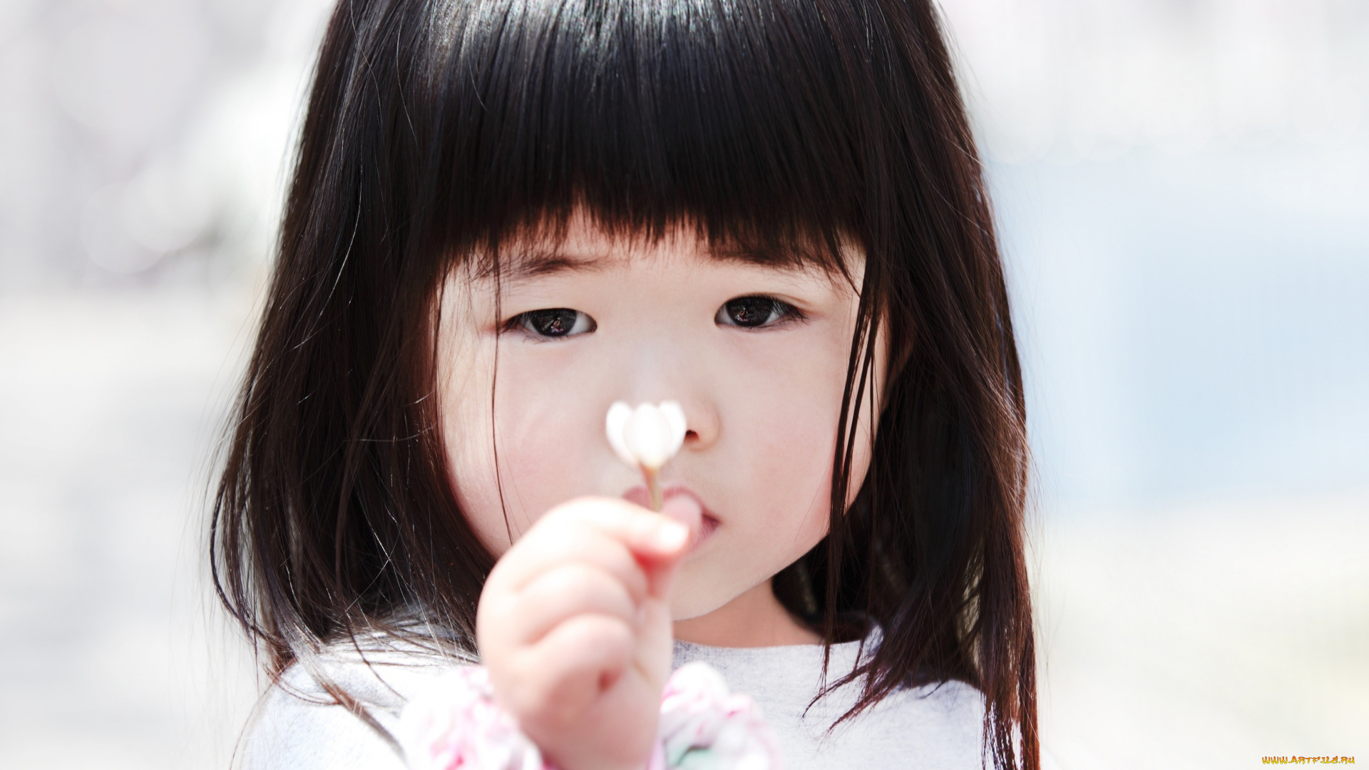 разное, дети, девочка, лицо, цветок