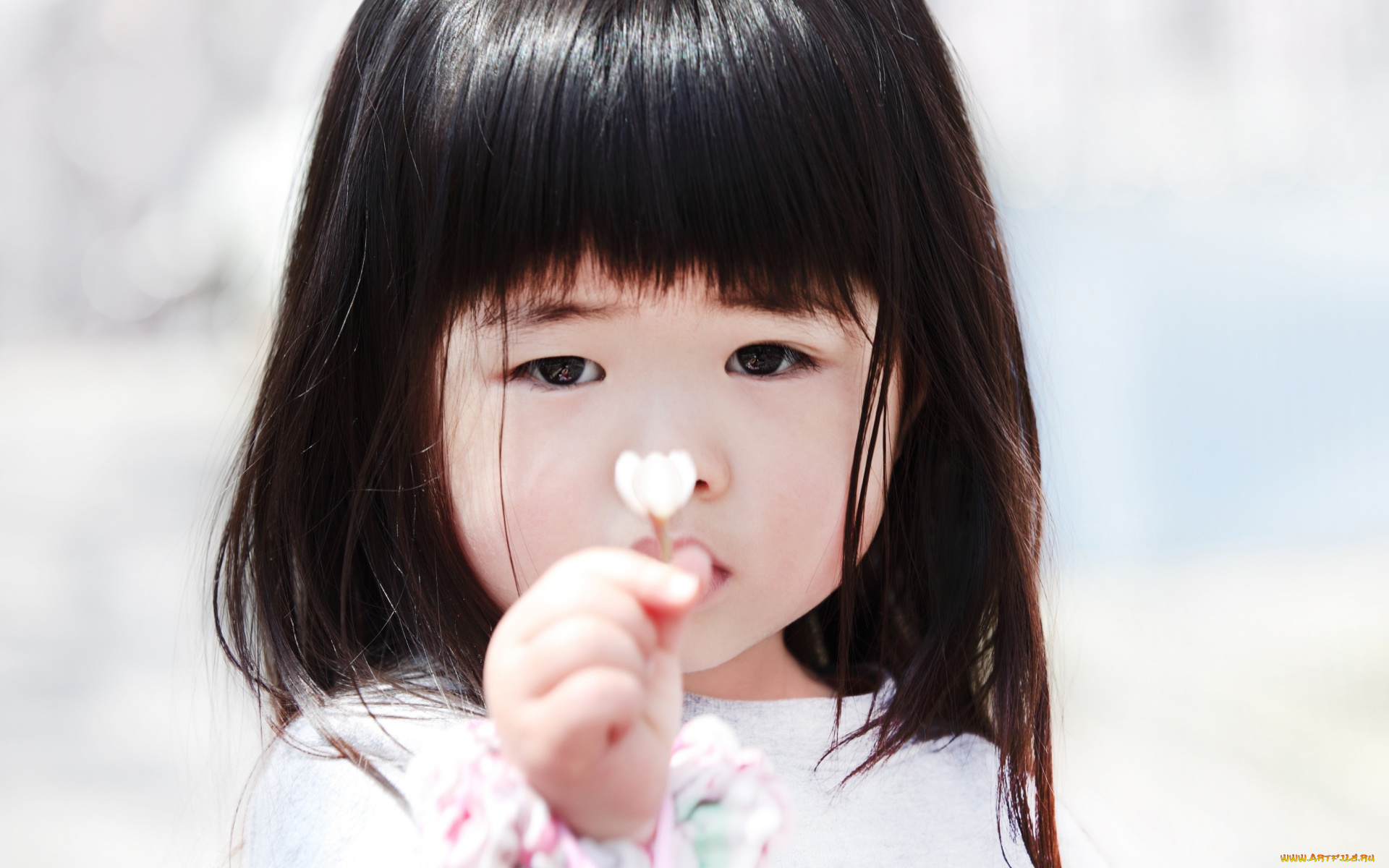 разное, дети, девочка, лицо, цветок