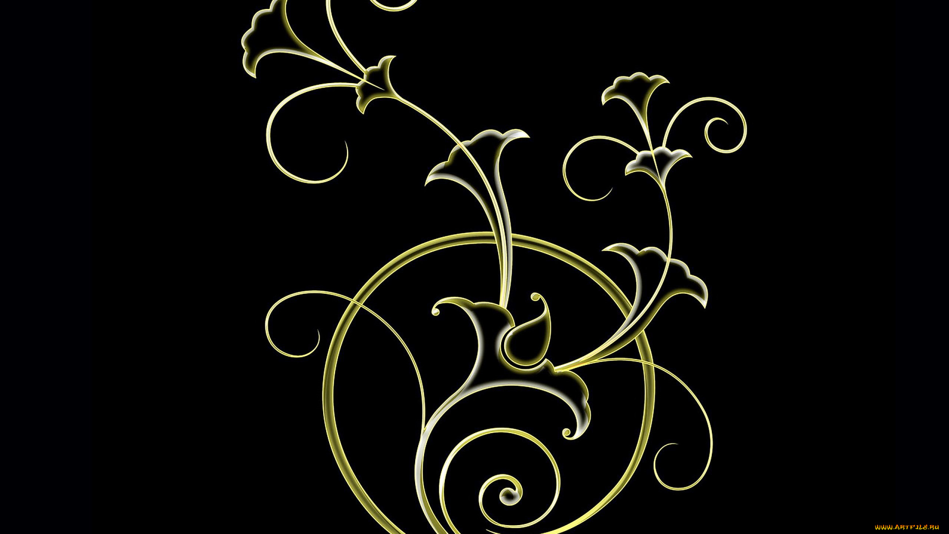 векторная, графика, цветы, , flowers, цветок, узор