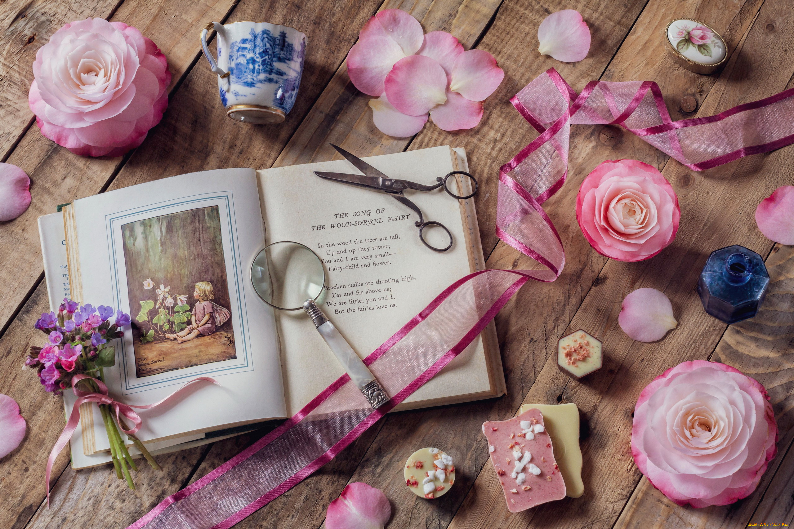 разное, канцелярия, , книги, лепестки, книга, лупа, камелии, розовые