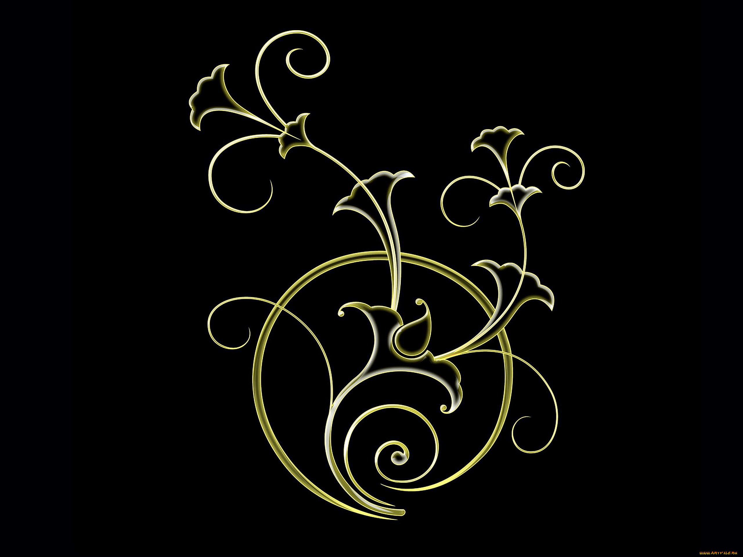 векторная, графика, цветы, , flowers, цветок, узор