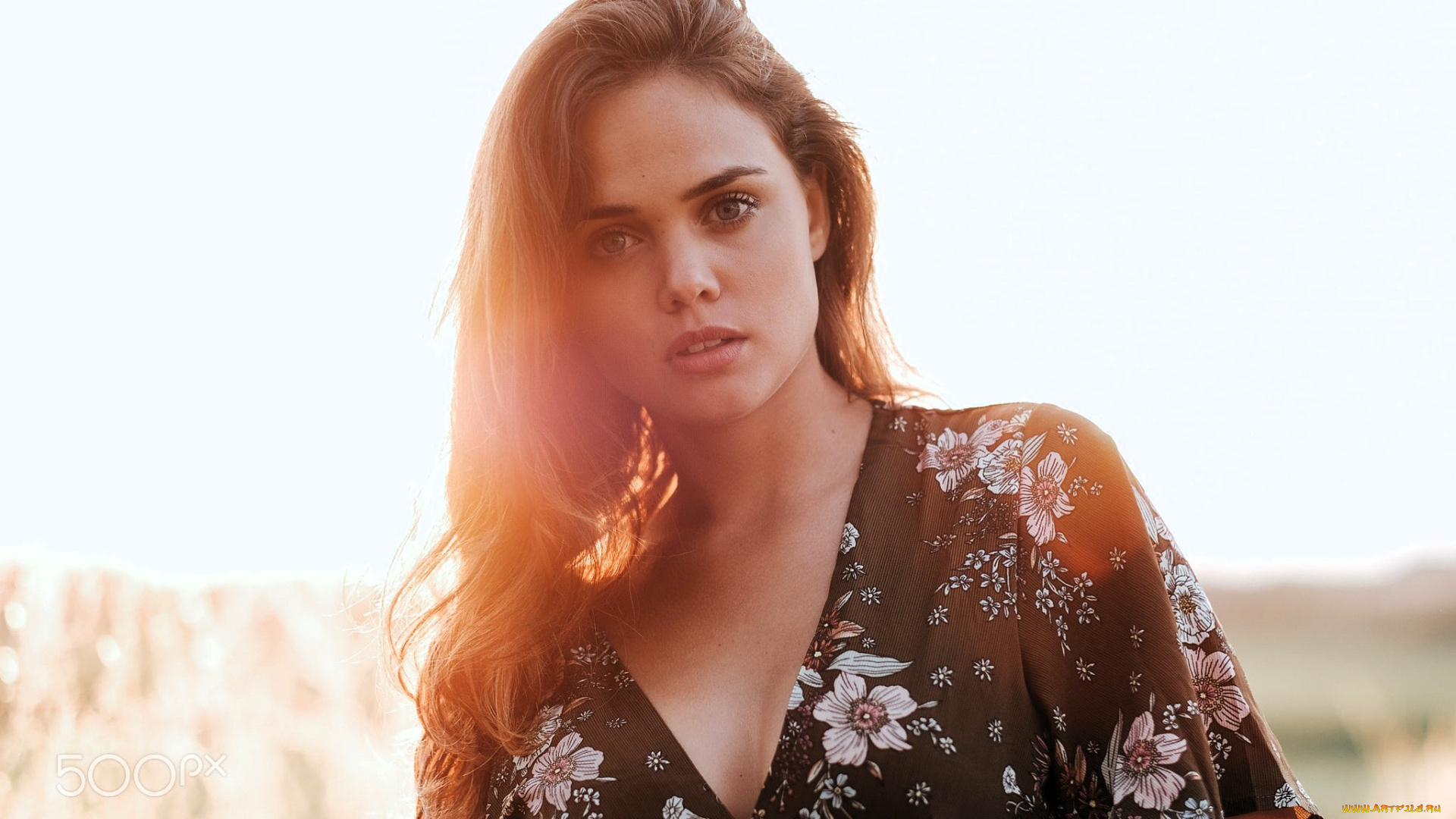 девушки, -, лица, , портреты, шатенка, лицо, платье